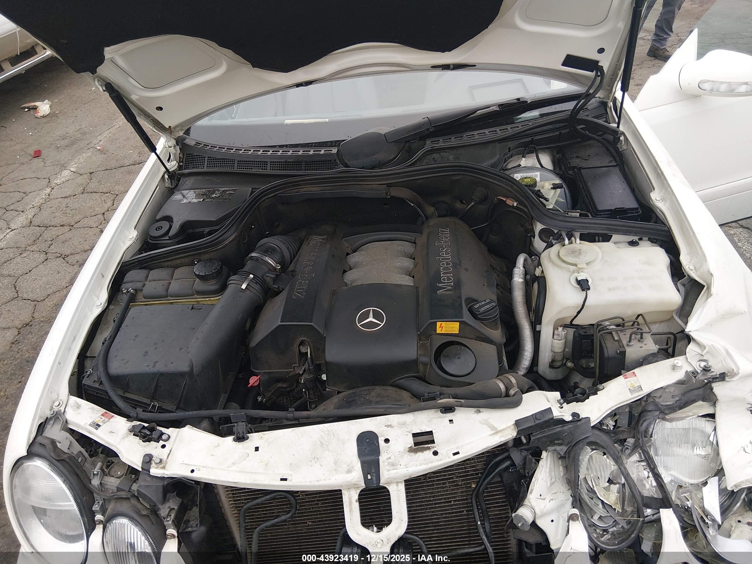 MERCEDES-BENZ CLK image 10