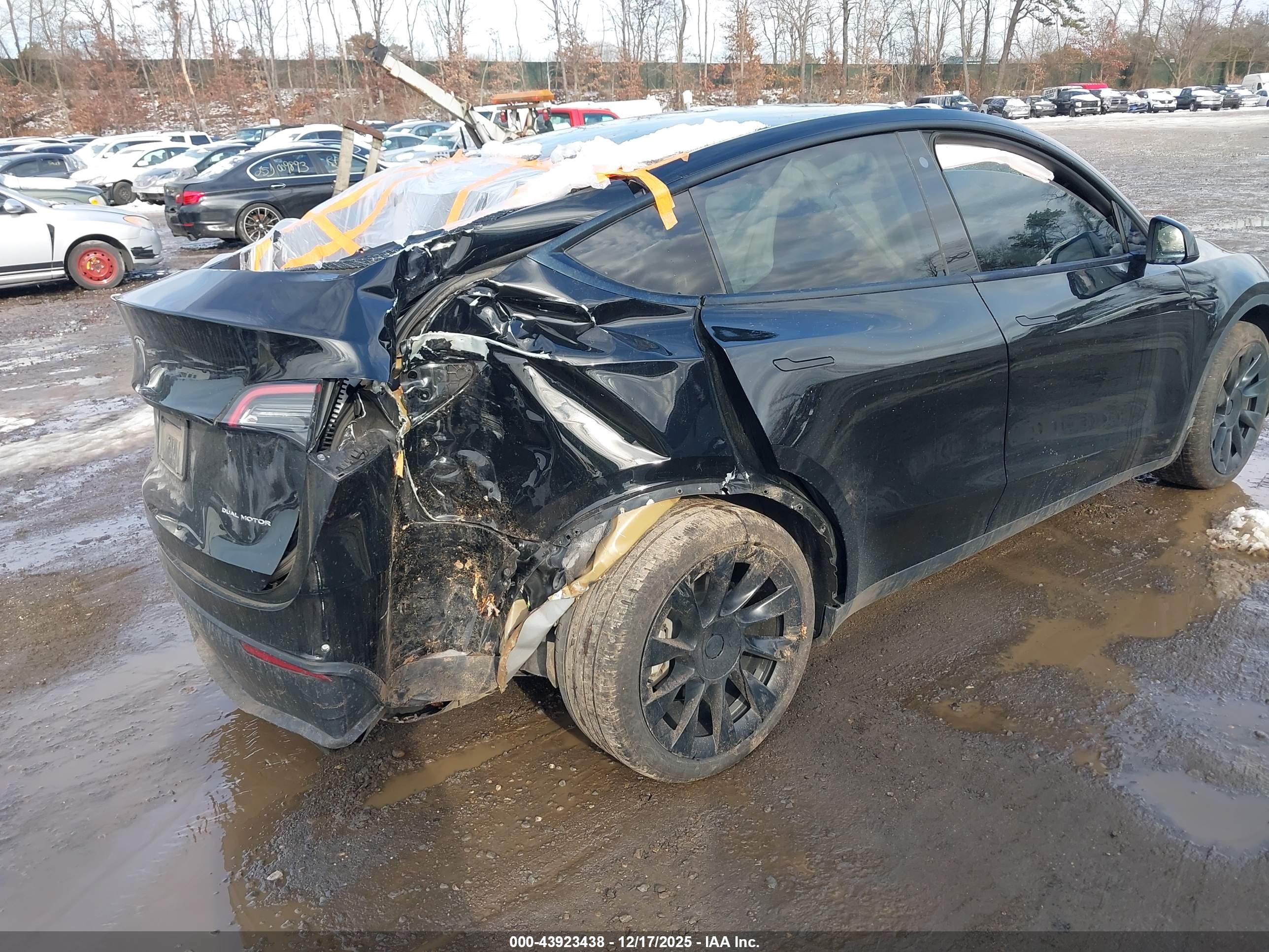 TESLA MODEL image 4