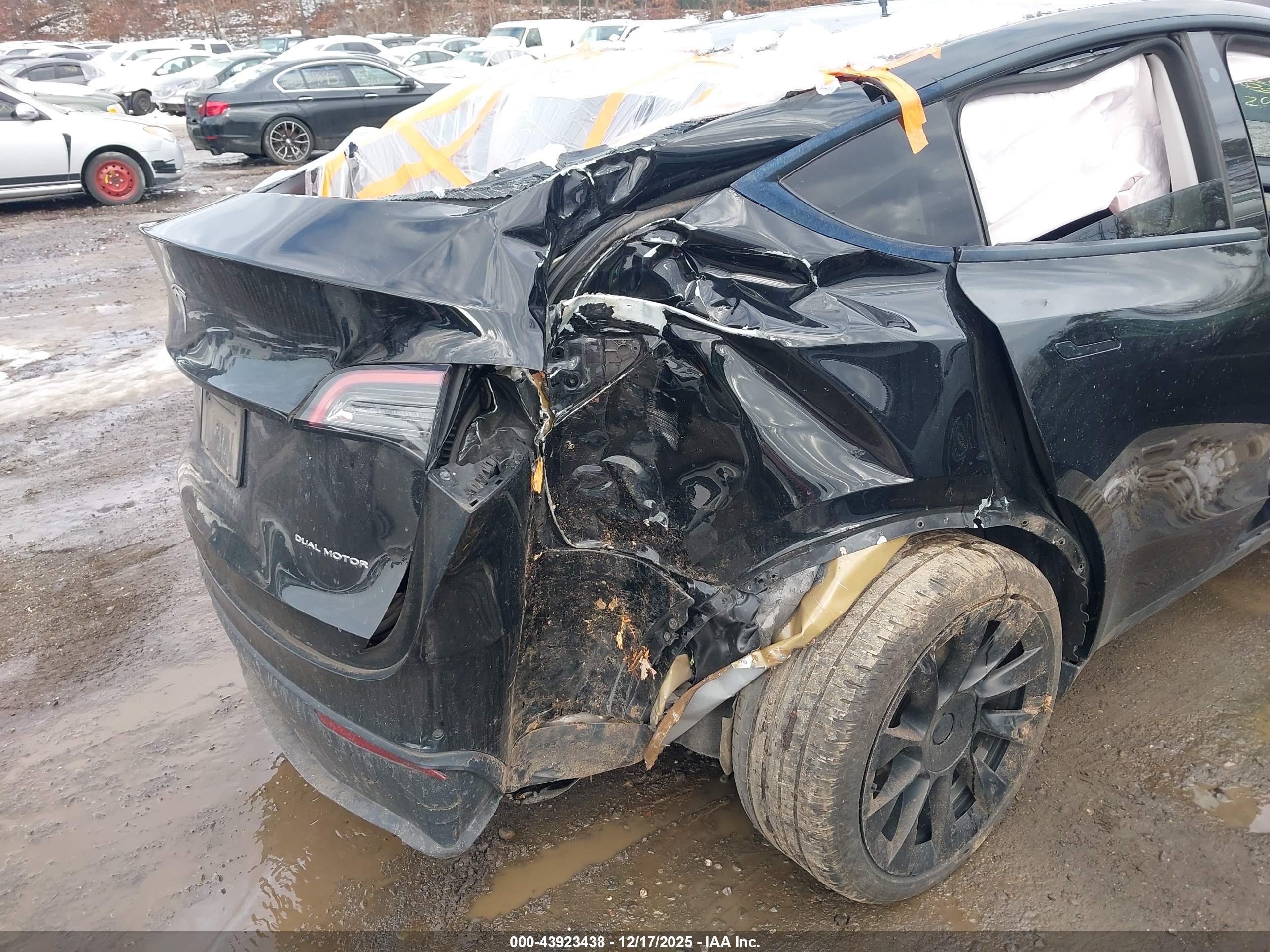TESLA MODEL image 6