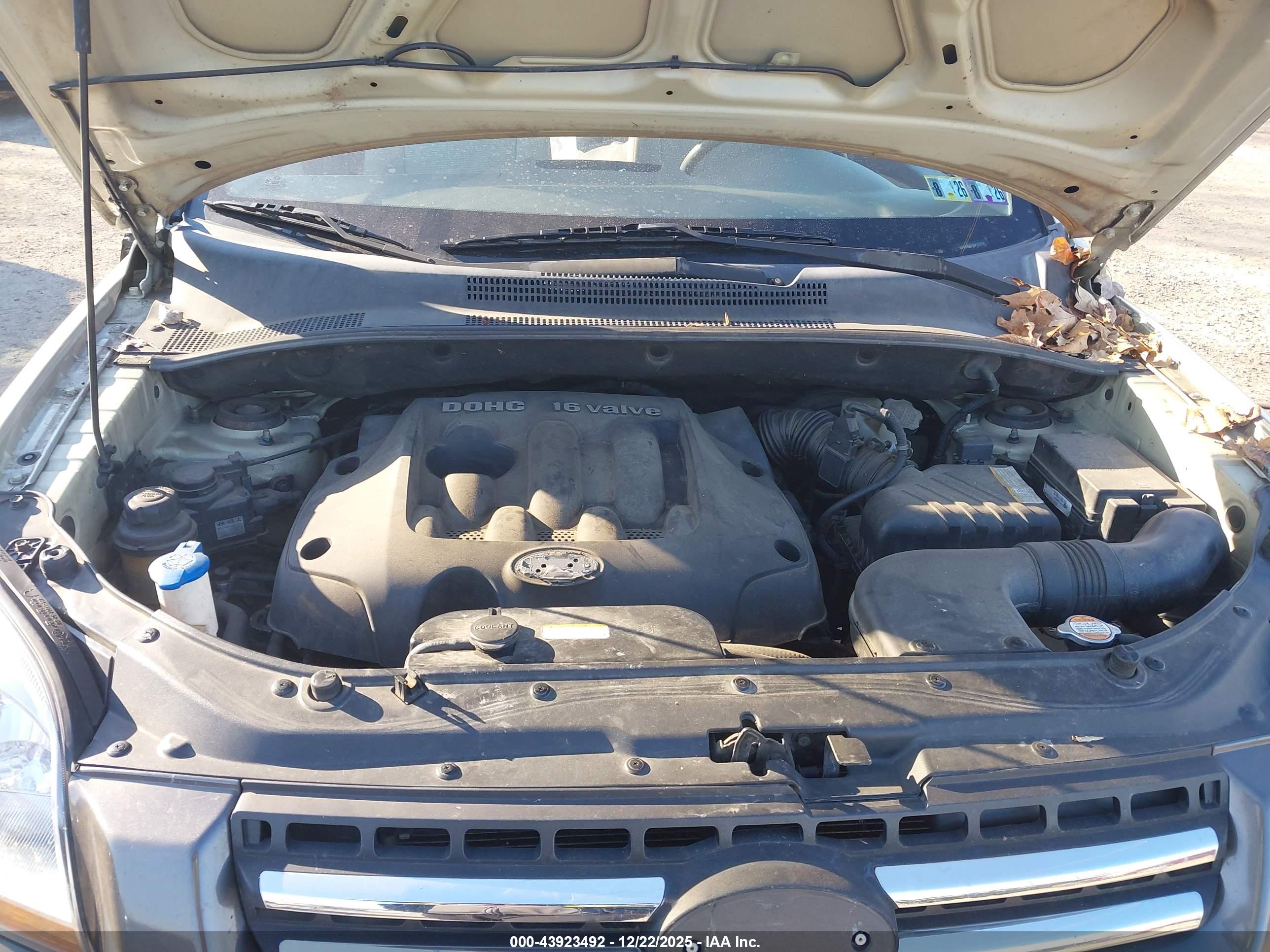 KIA SPORTAGE image 10