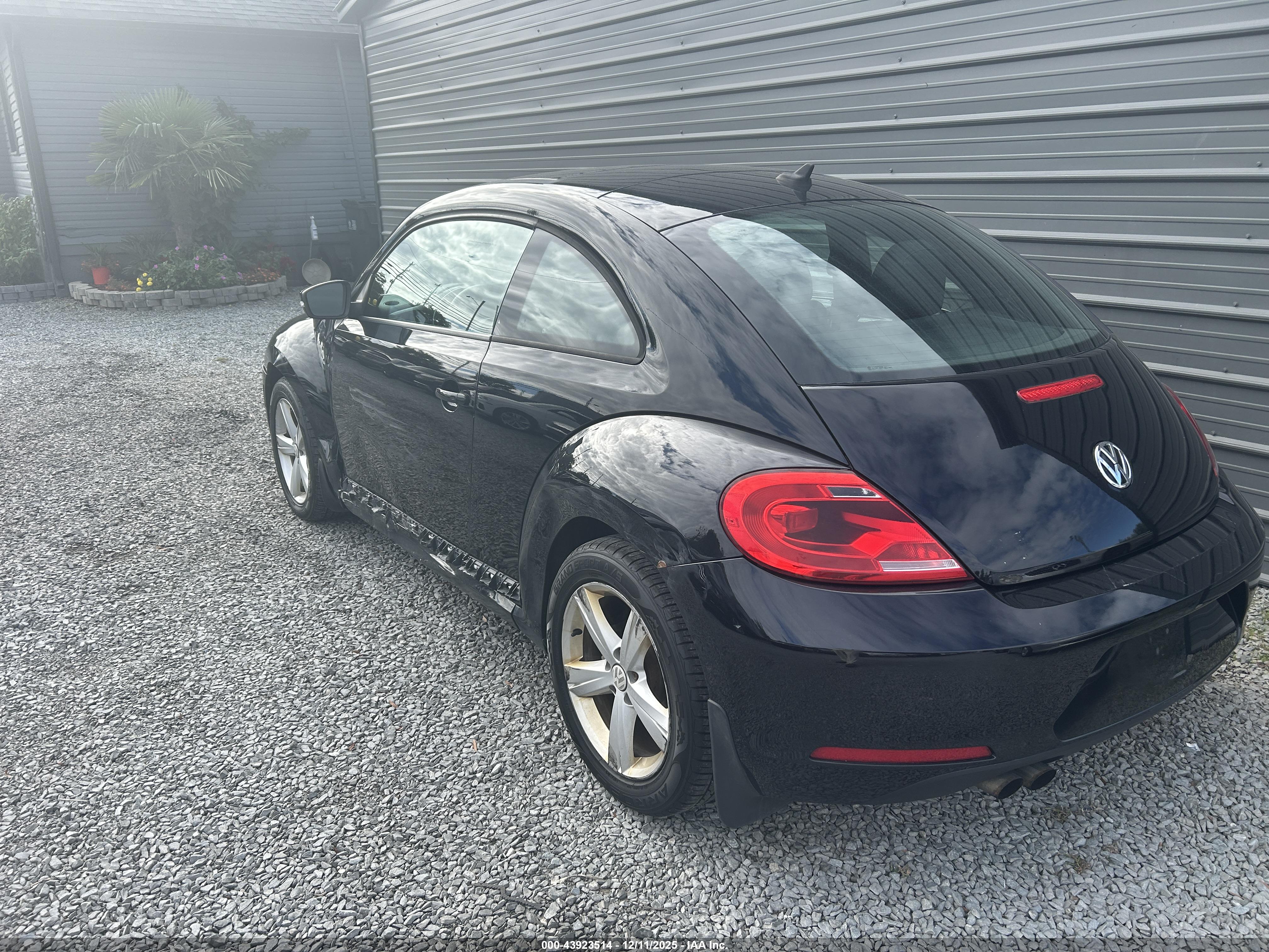VOLKSWAGEN BEETLE image 3