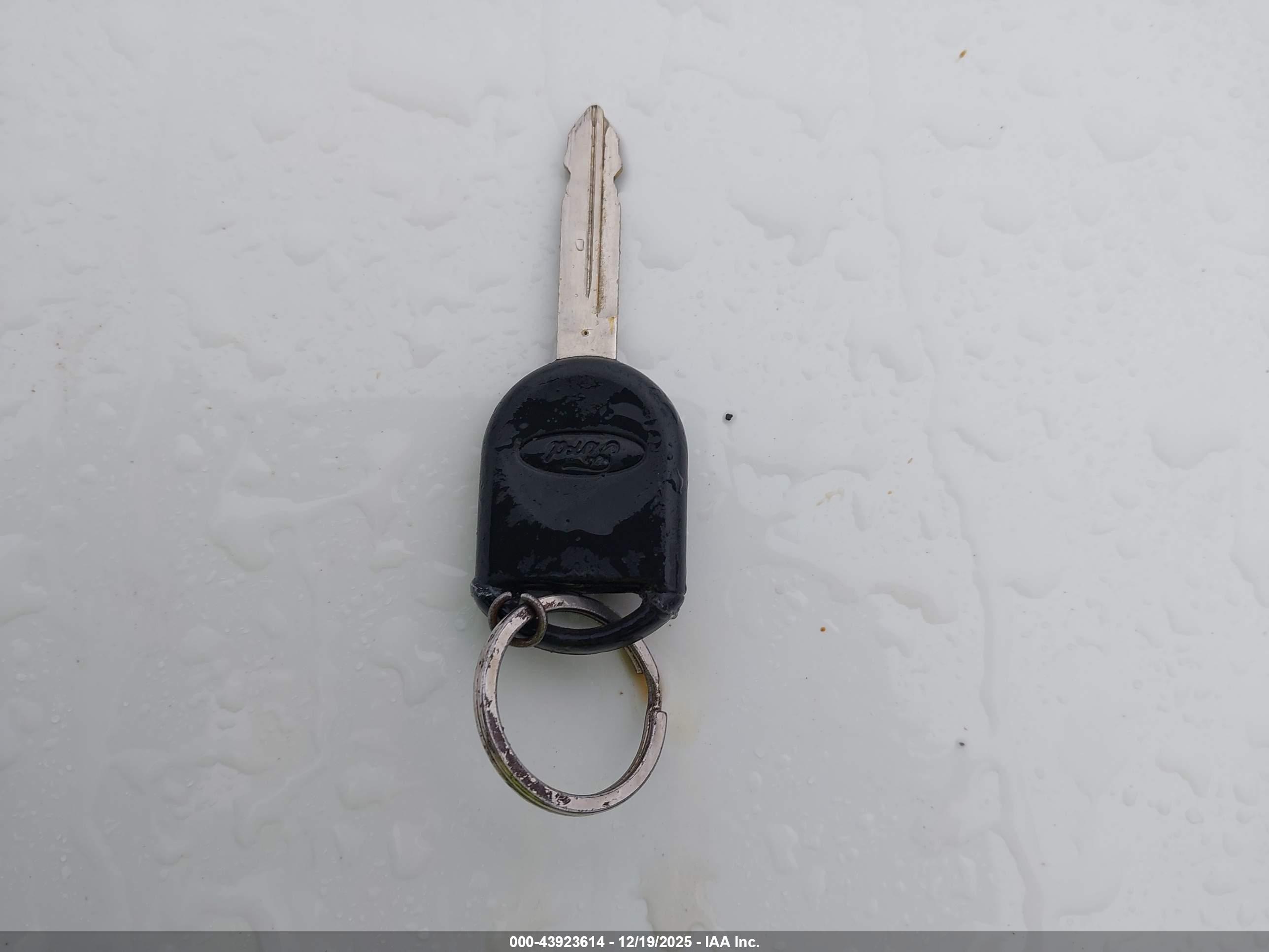 FORD RANGER image 11