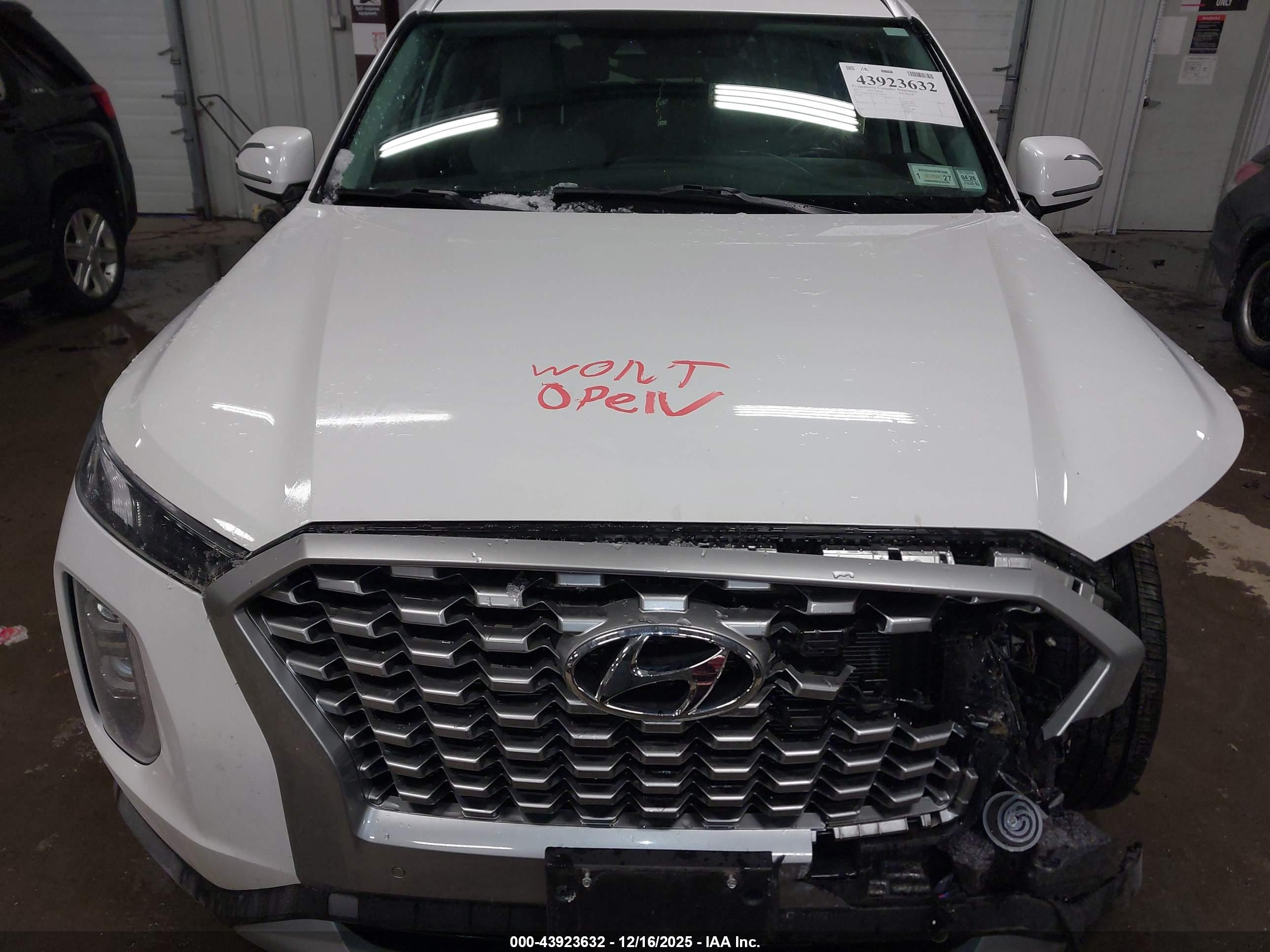 HYUNDAI PALISADE image 10