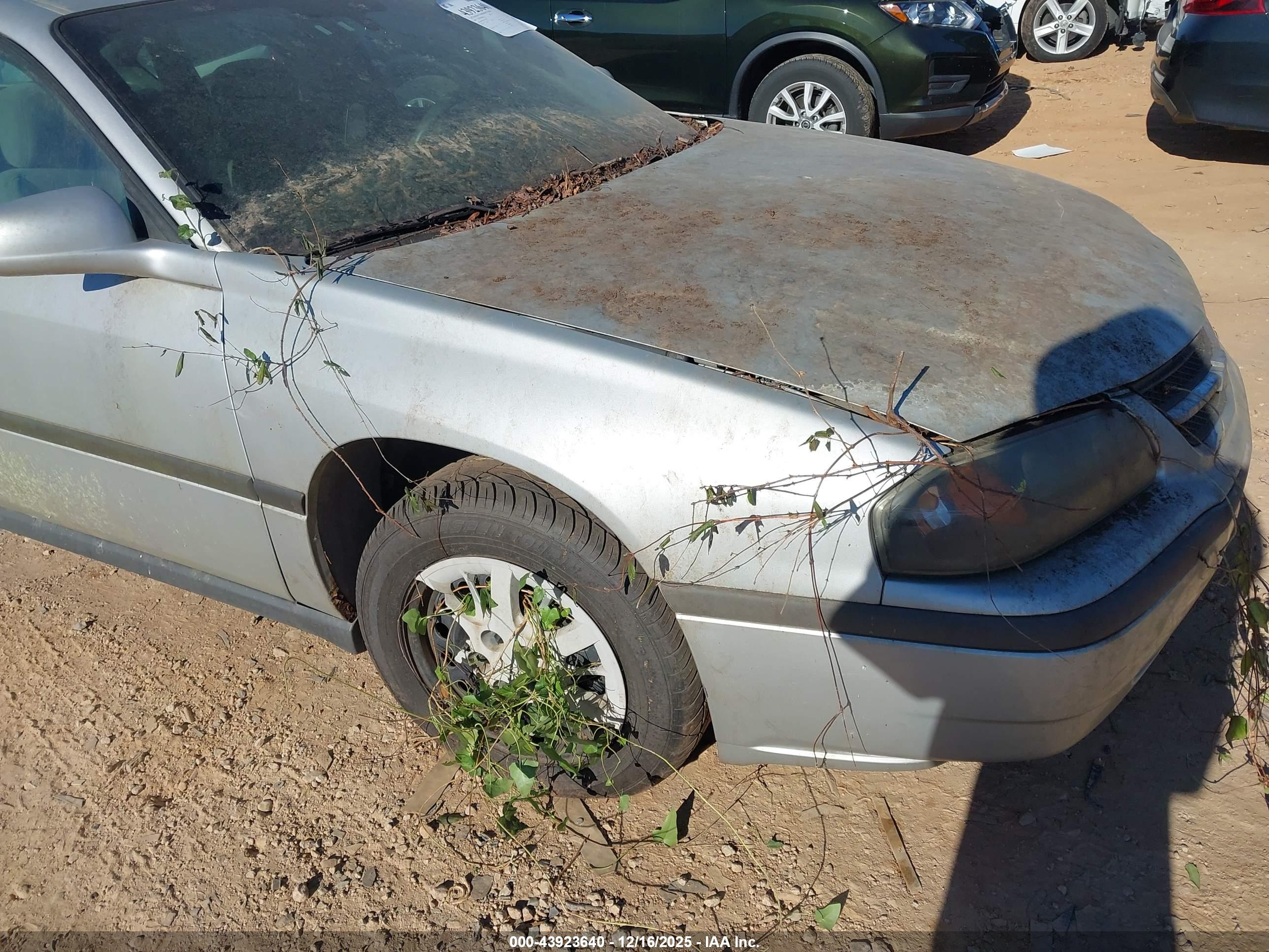 CHEVROLET IMPALA image 6