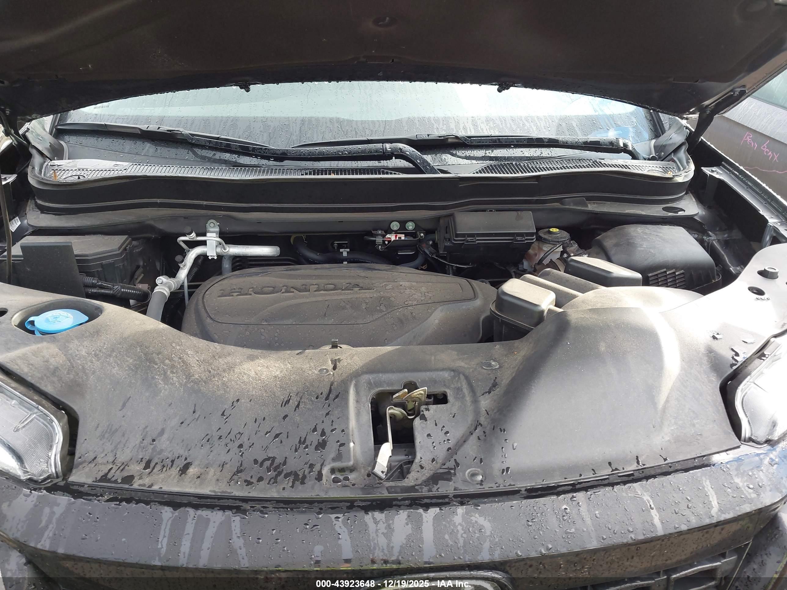 HONDA PASSPORT image 10