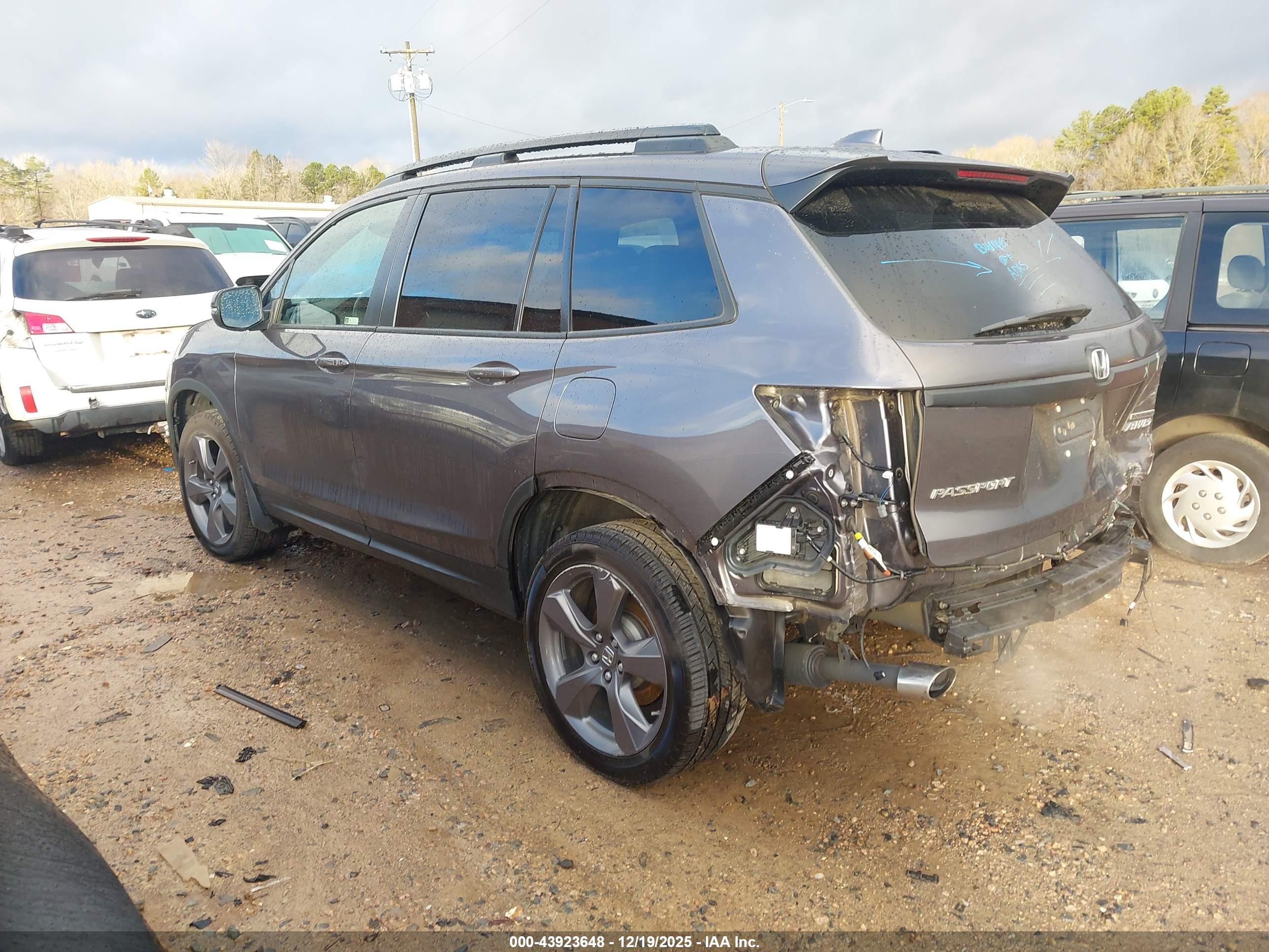 HONDA PASSPORT image 3