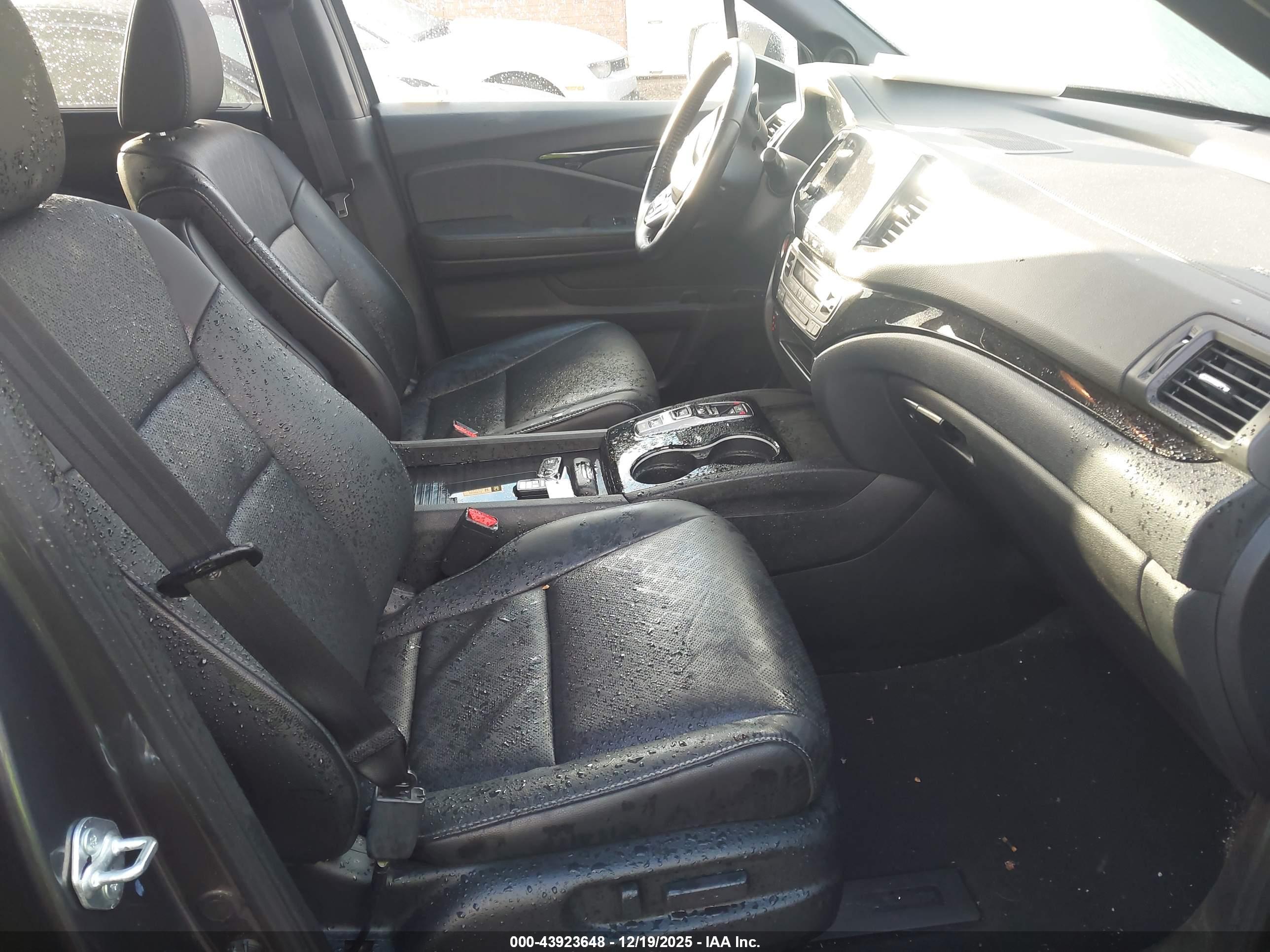 HONDA PASSPORT image 5