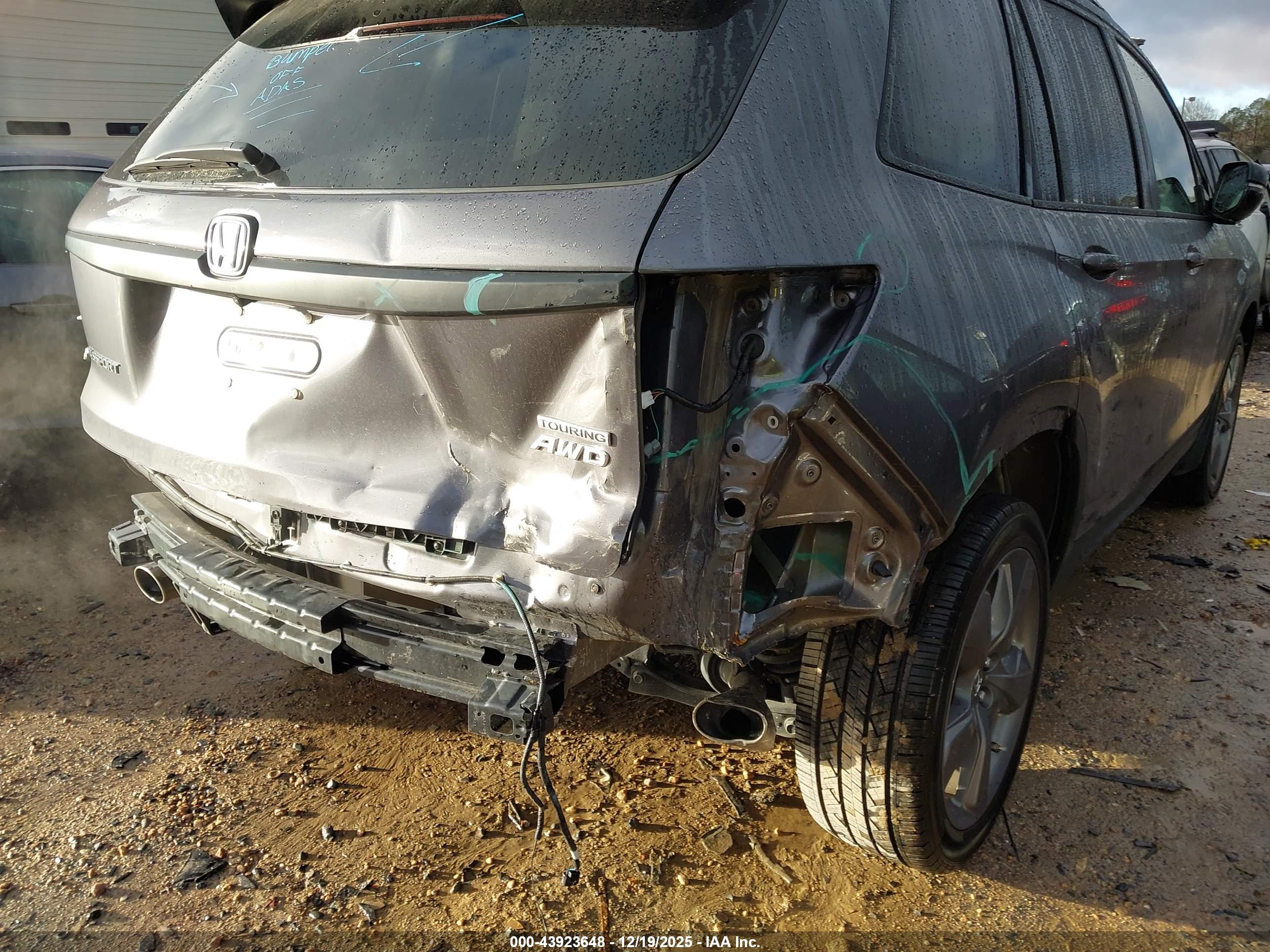 HONDA PASSPORT image 6
