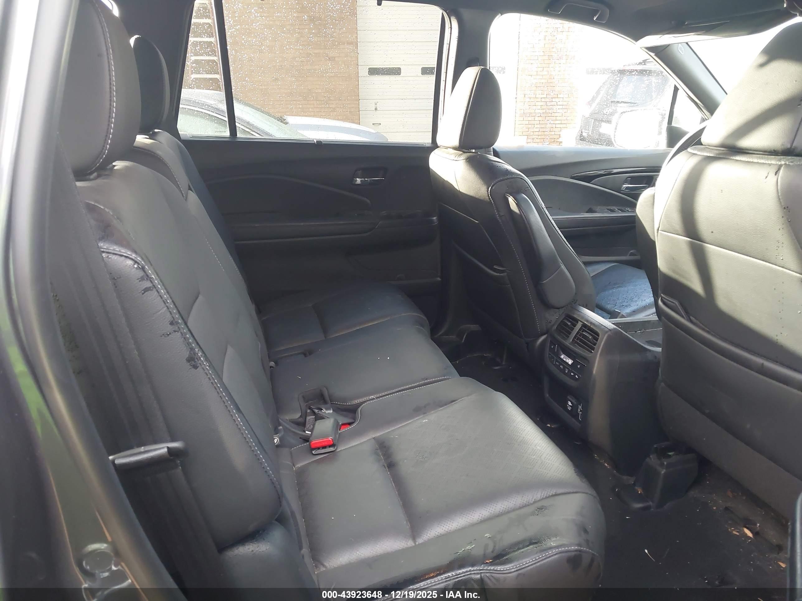 HONDA PASSPORT image 8