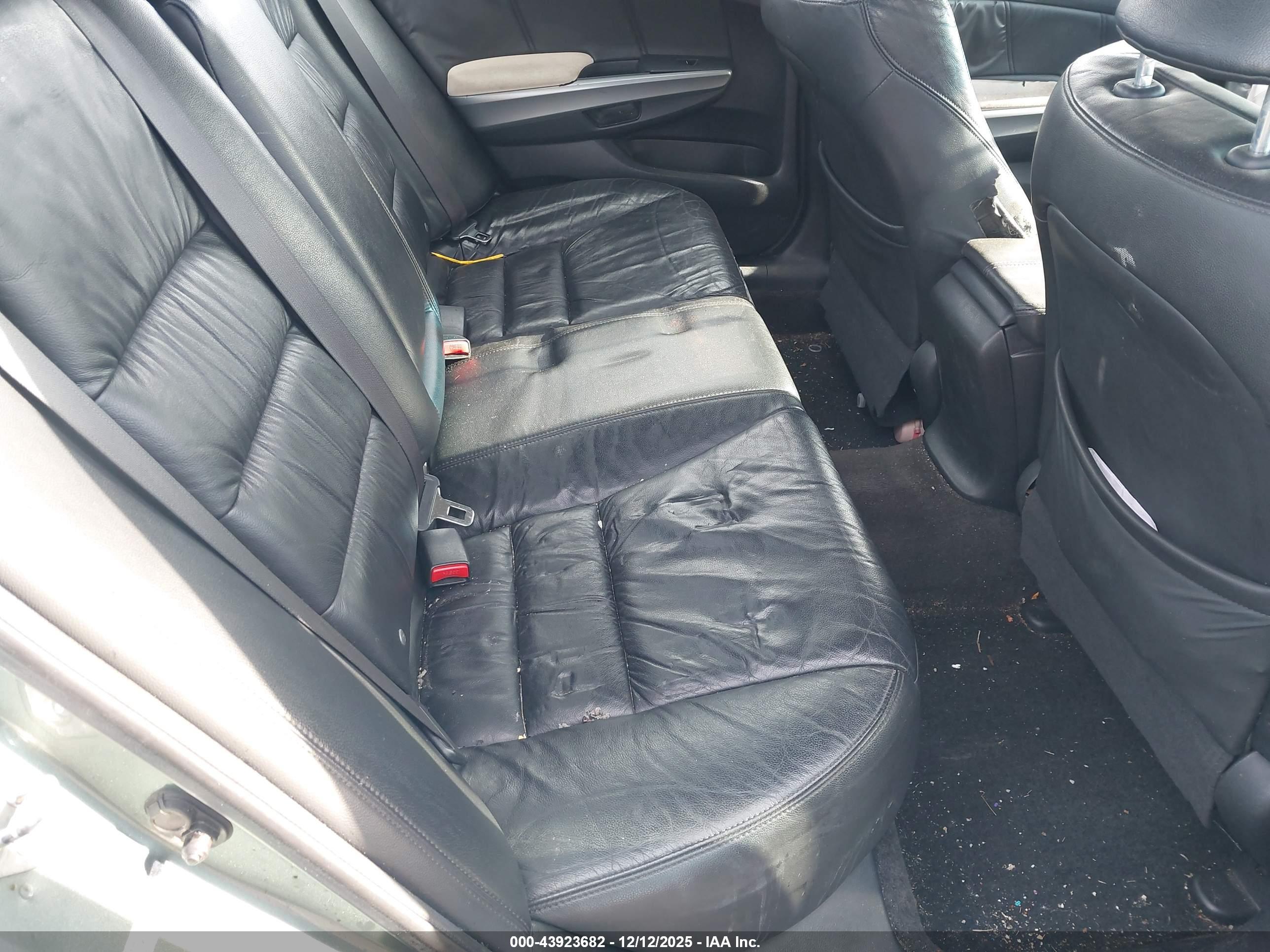 HONDA ACCORD image 8