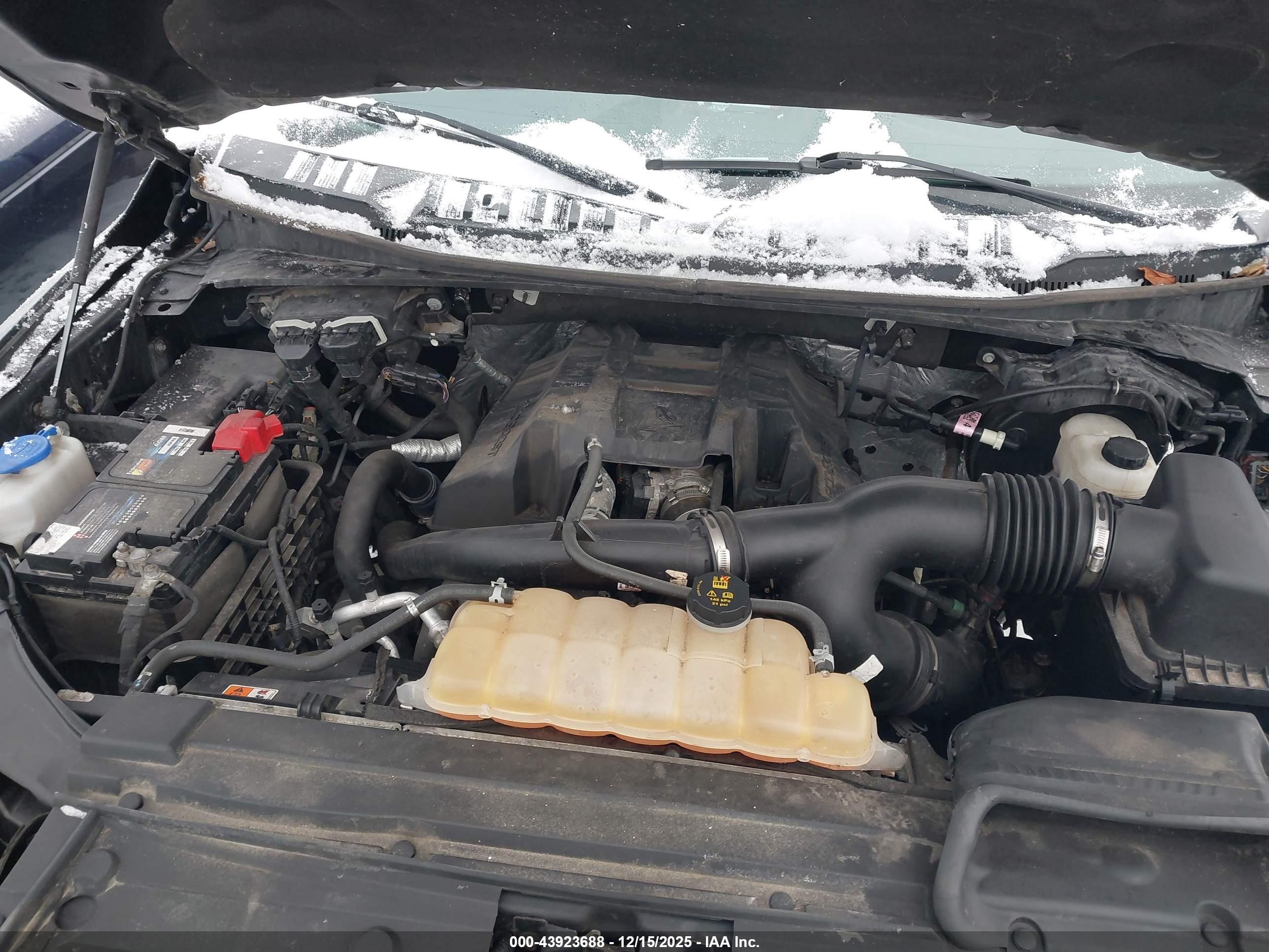 FORD F-150 image 10