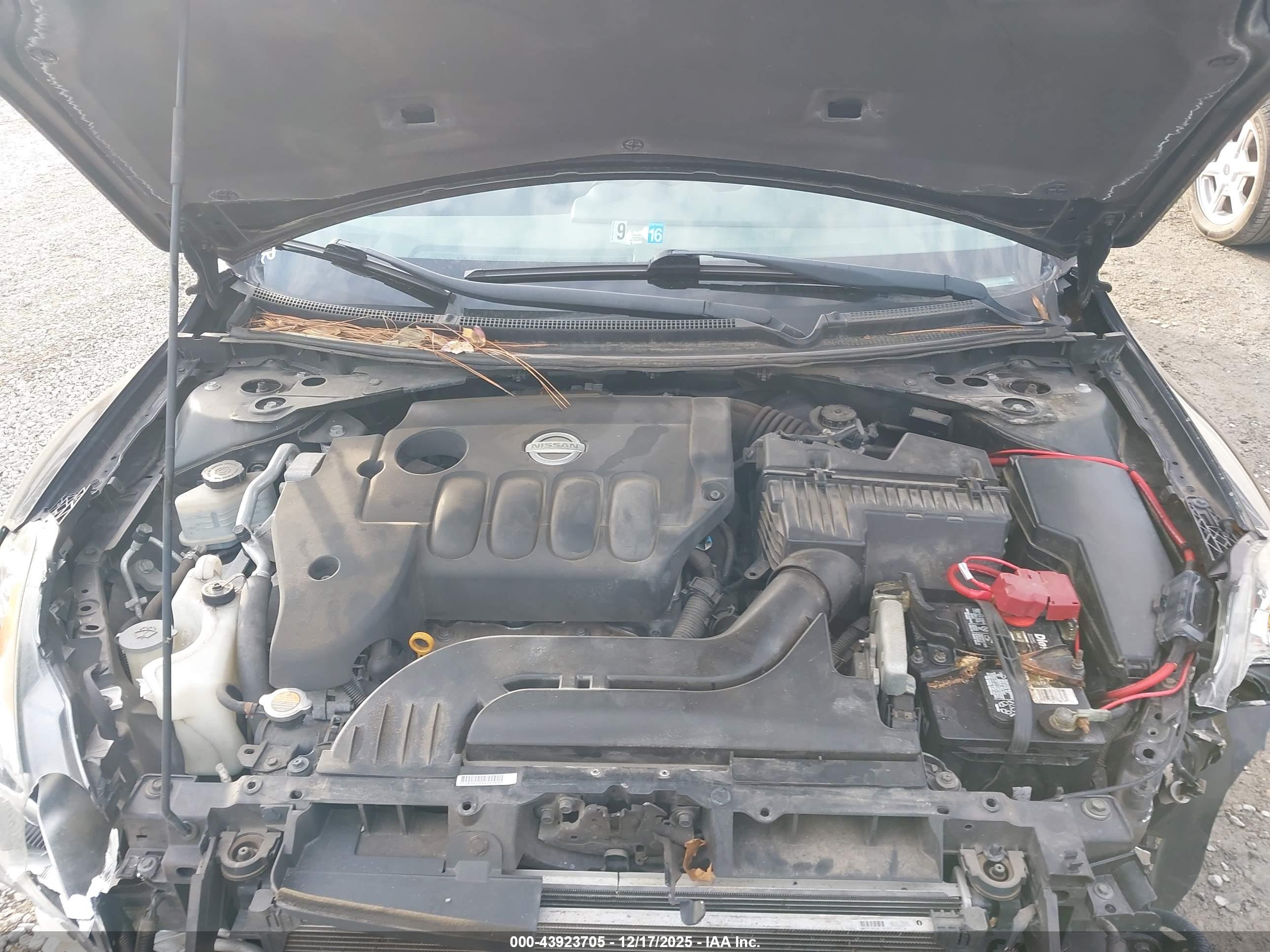 NISSAN ALTIMA image 10