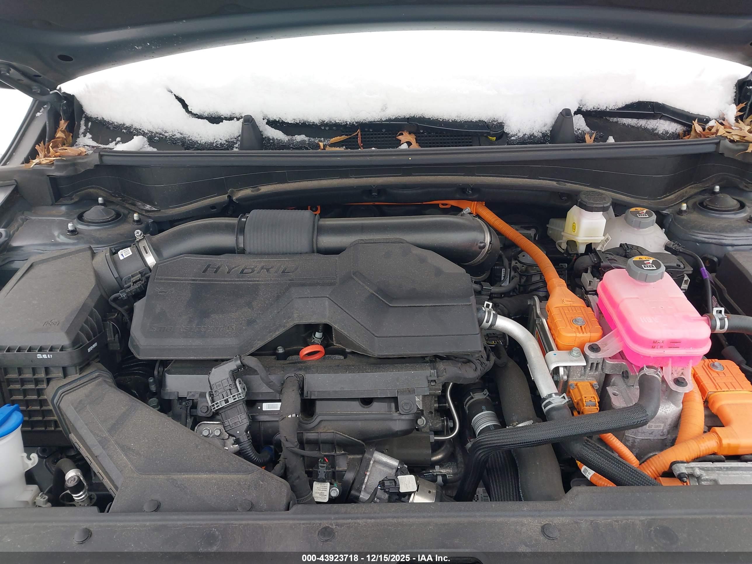 KIA SPORTAGE image 10