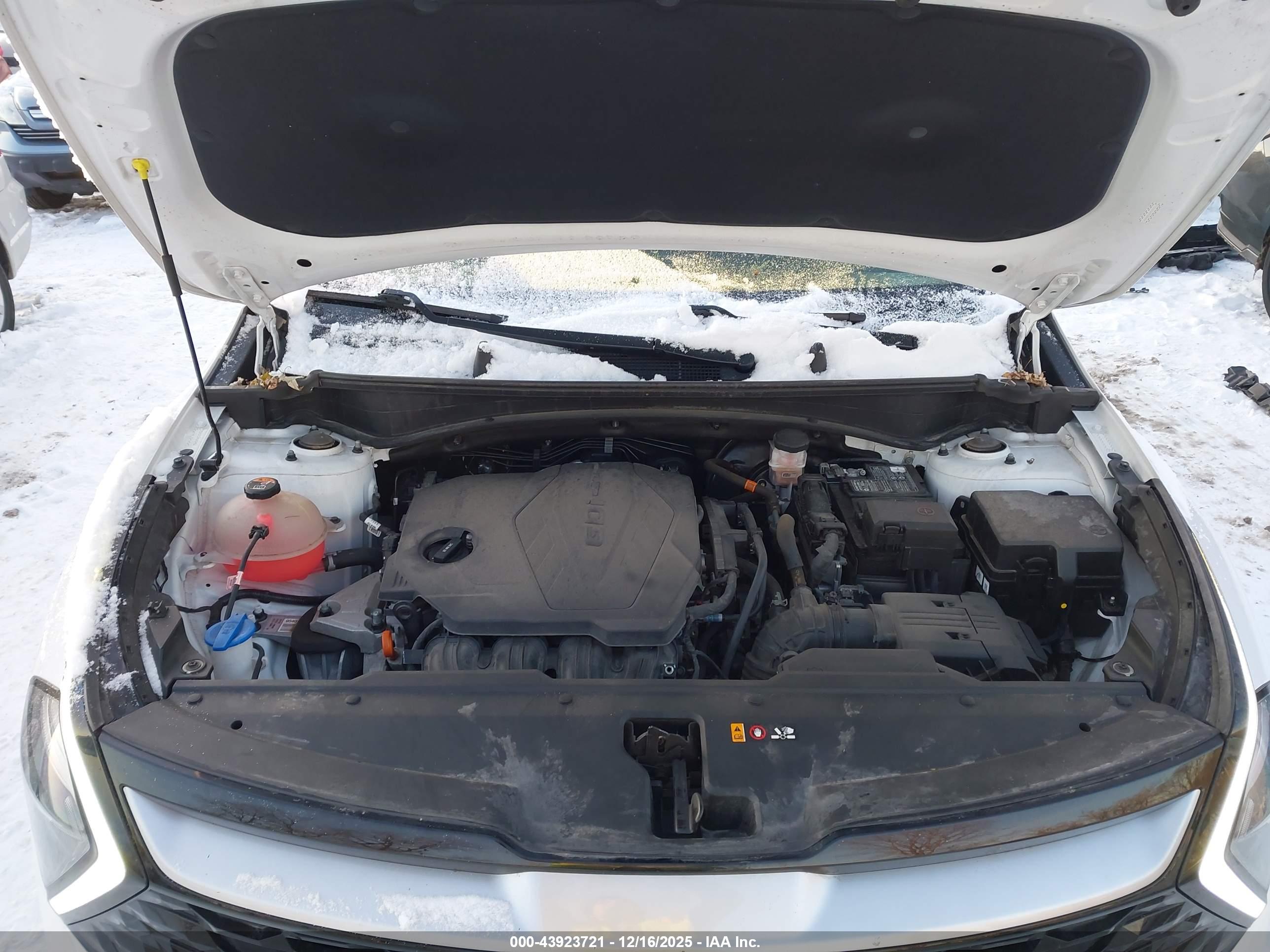 KIA SPORTAGE image 10