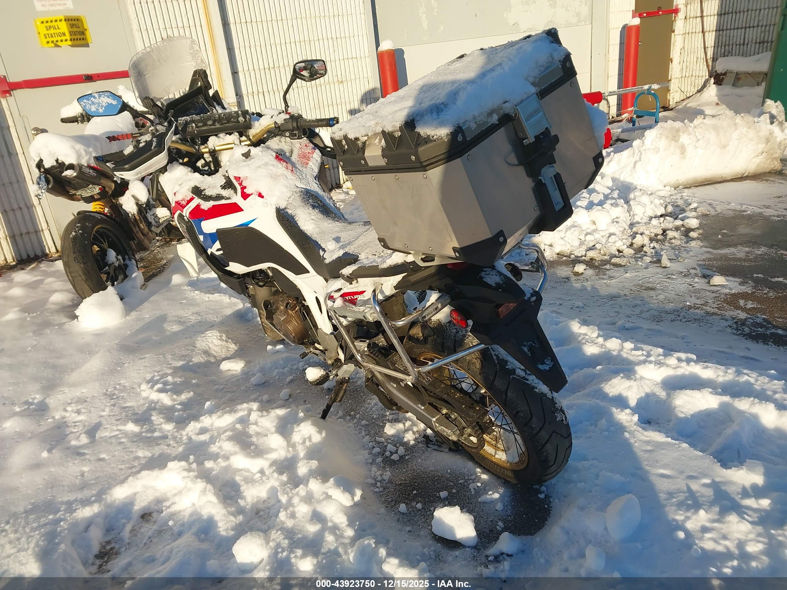 HONDA CRF1100 image 3