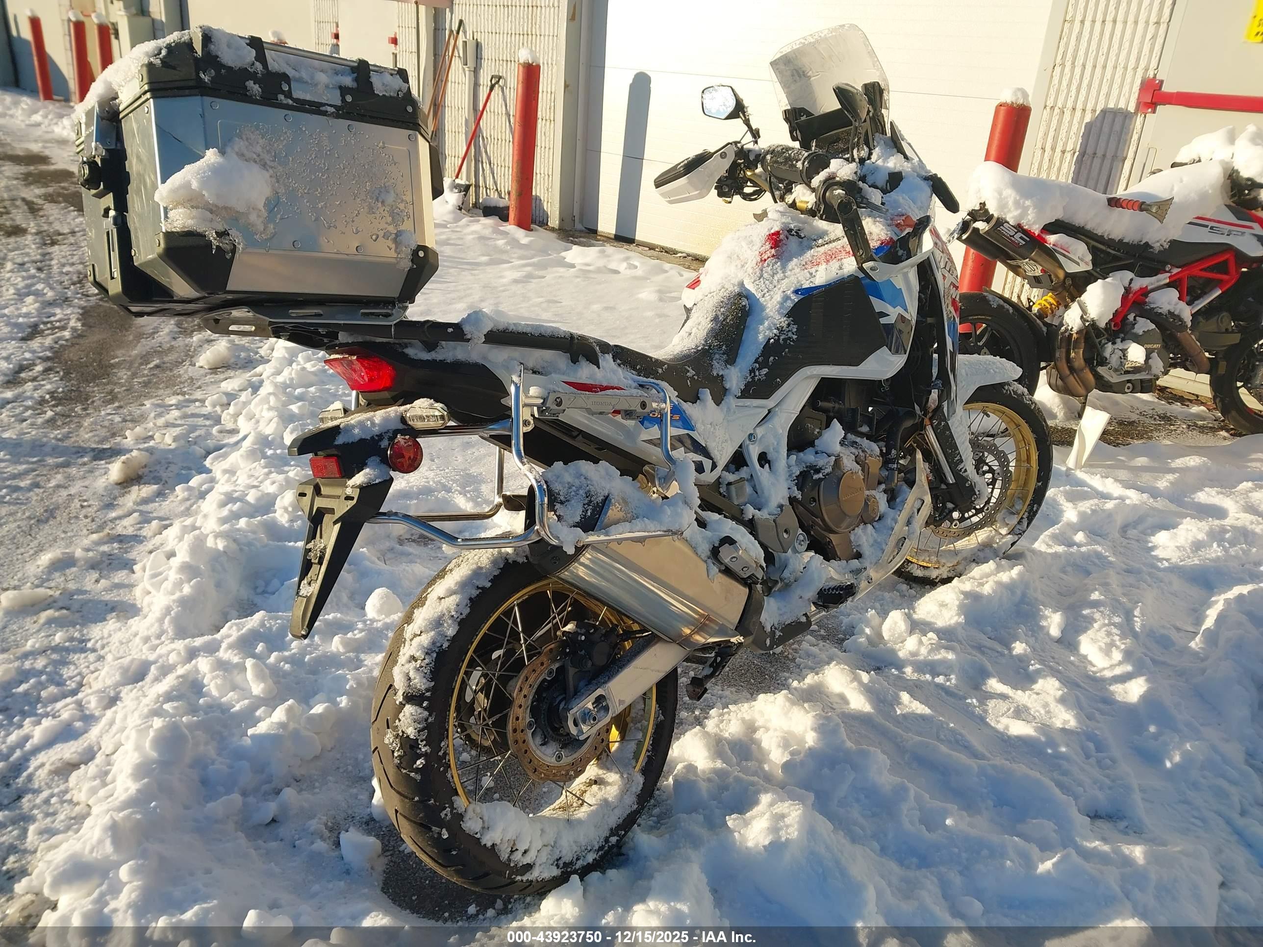 HONDA CRF1100 image 4