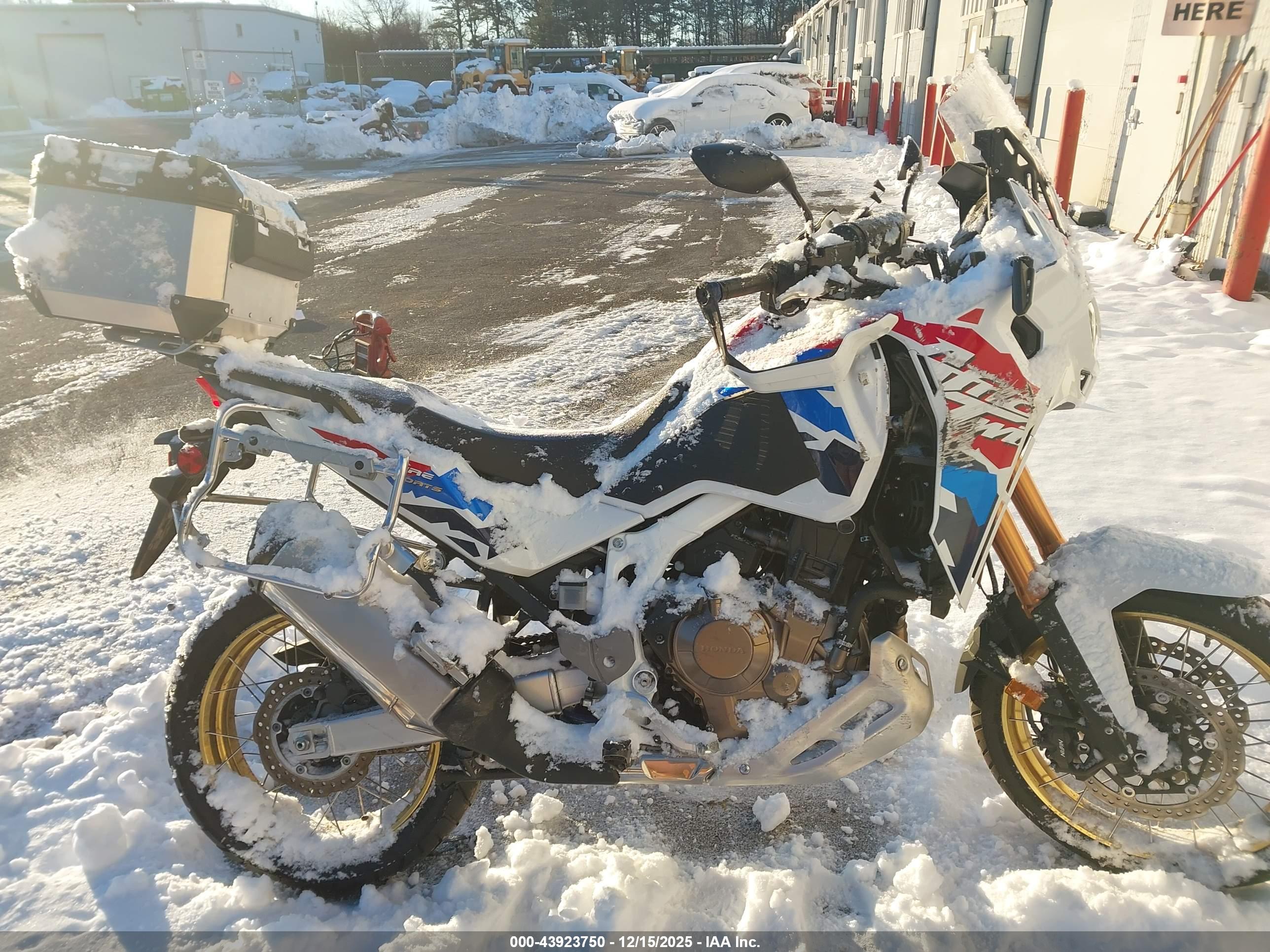HONDA CRF1100 image 8