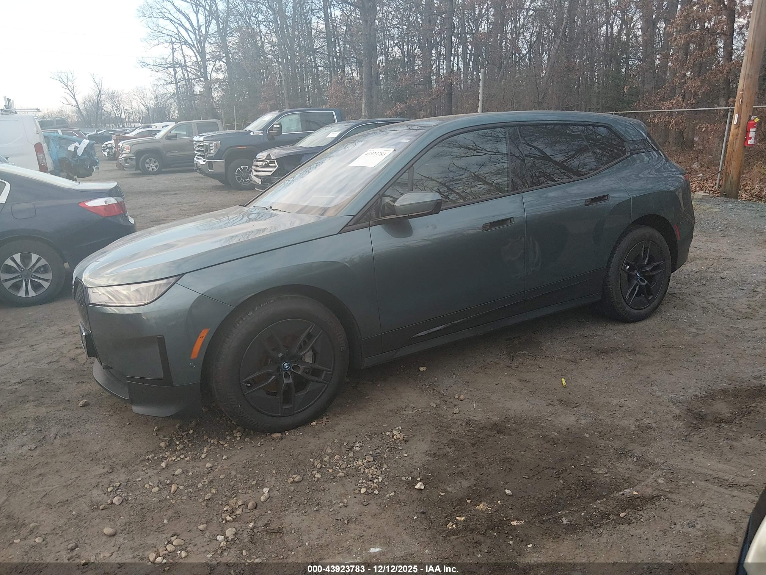 BMW IX image 2