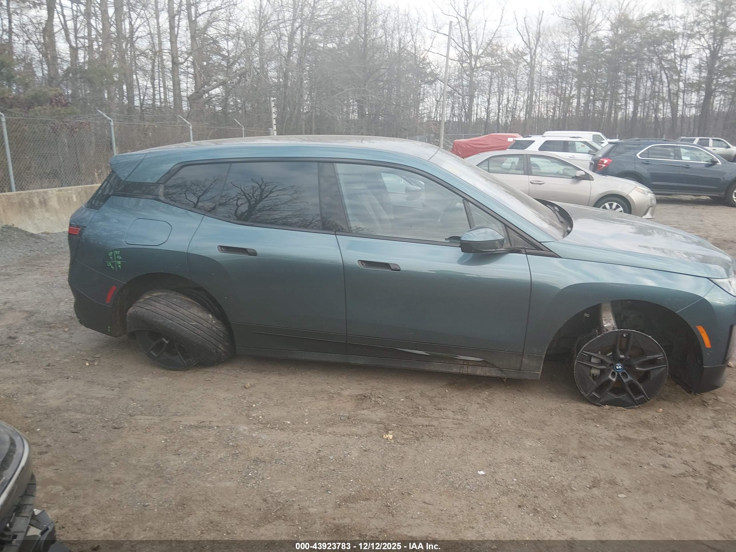 BMW IX image 6