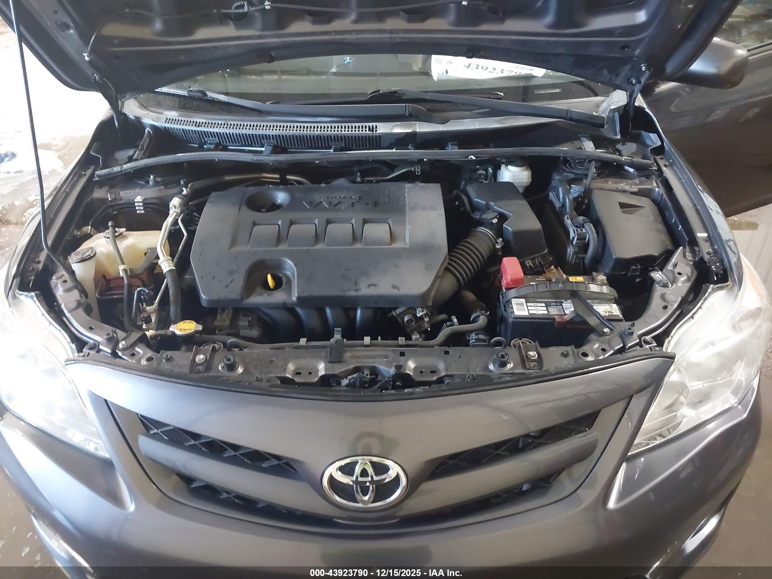 TOYOTA COROLLA image 10