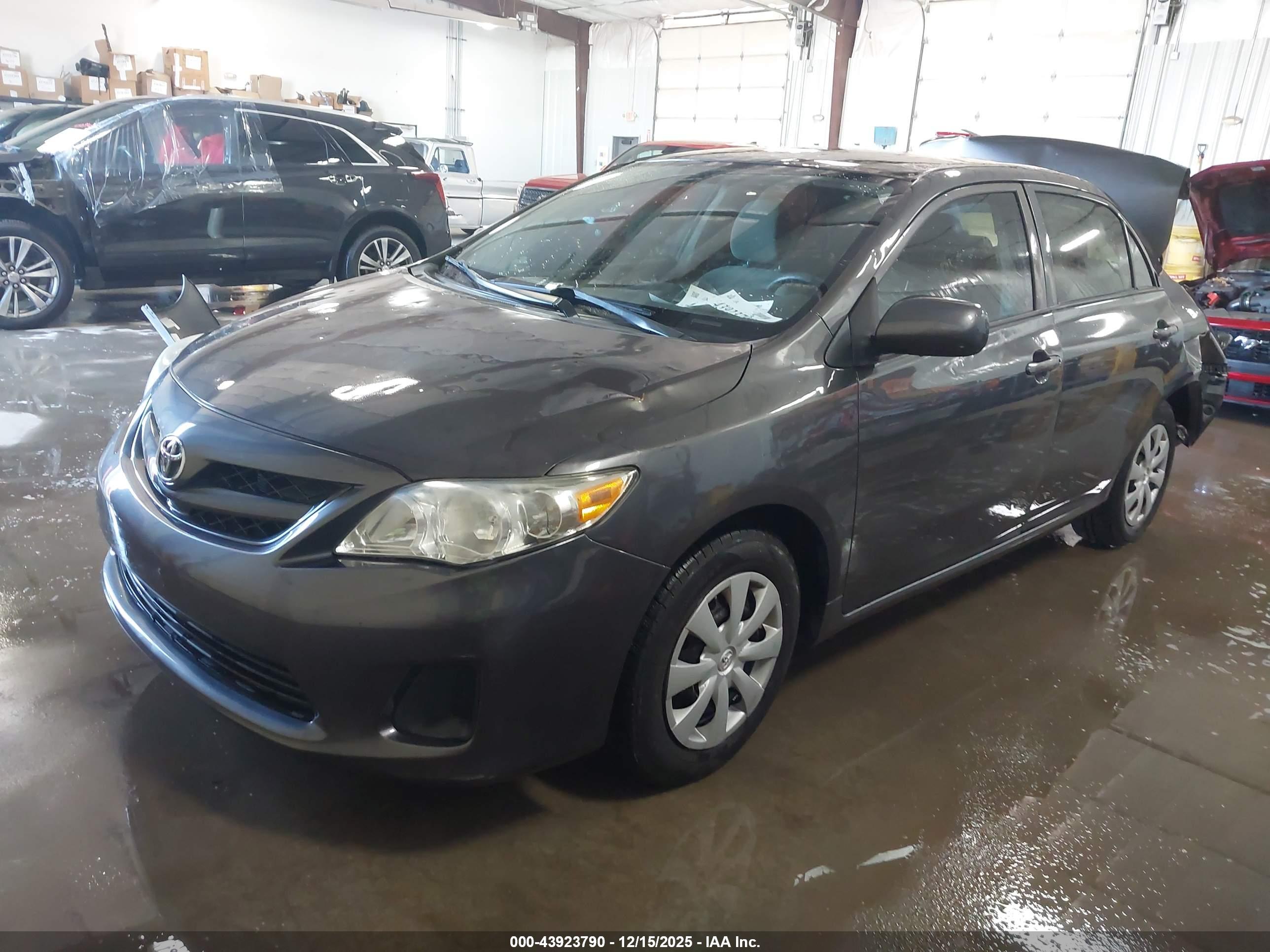 TOYOTA COROLLA image 2