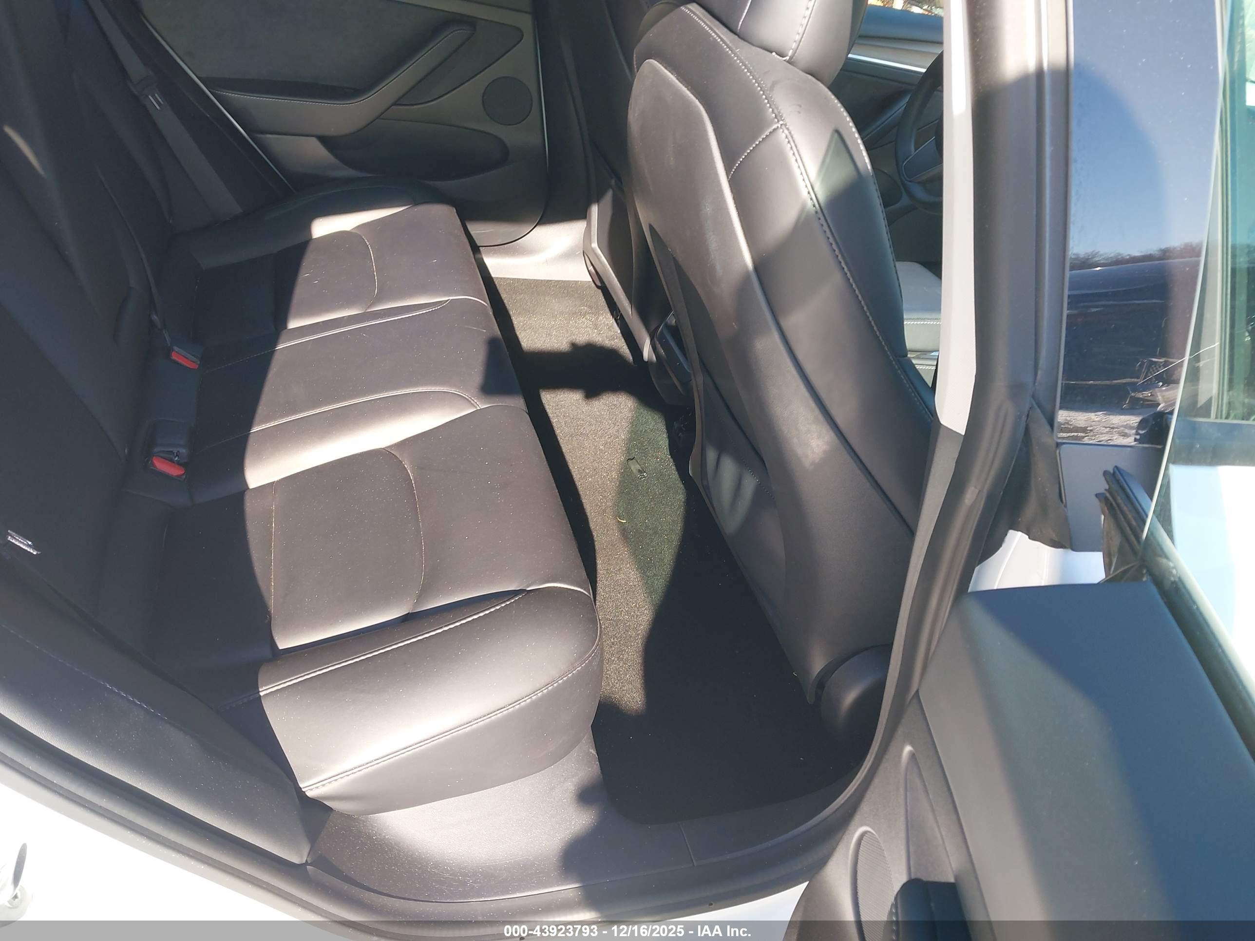 TESLA MODEL image 8