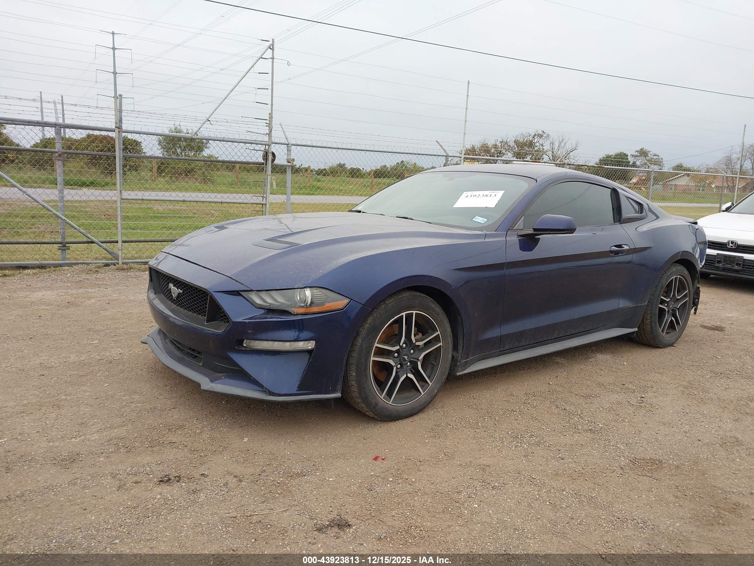 FORD MUSTANG image 2