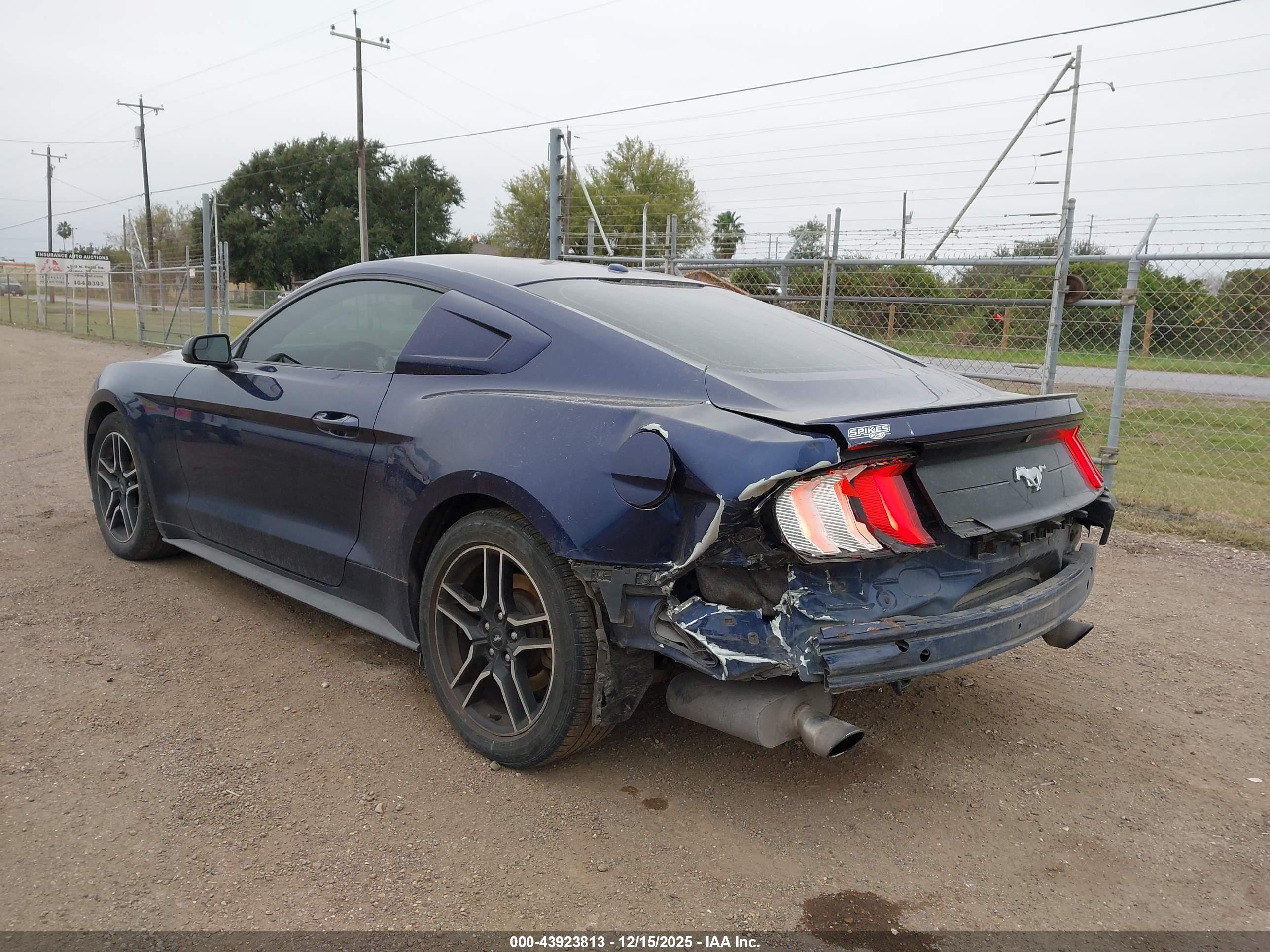 FORD MUSTANG image 3