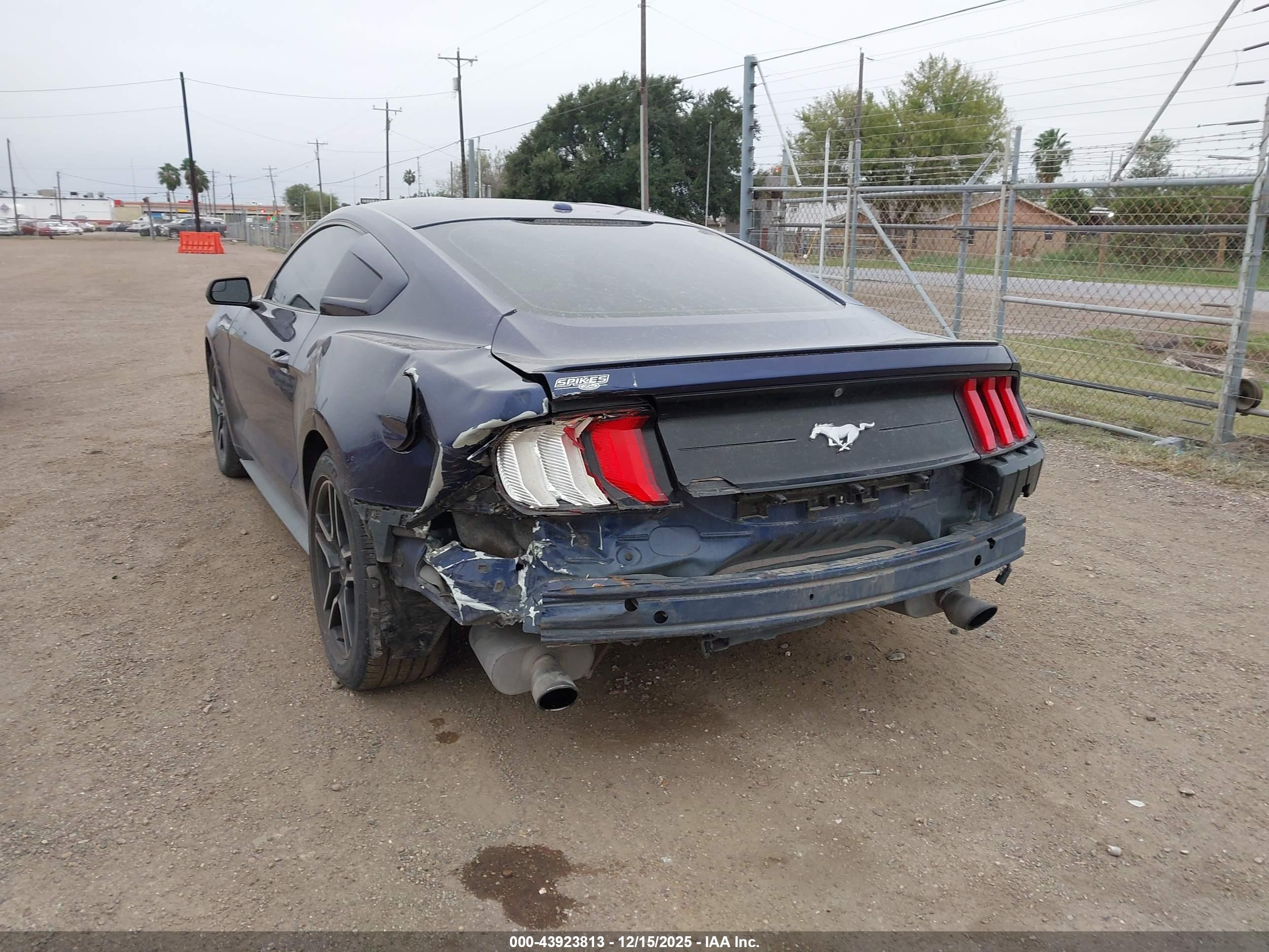 FORD MUSTANG image 6