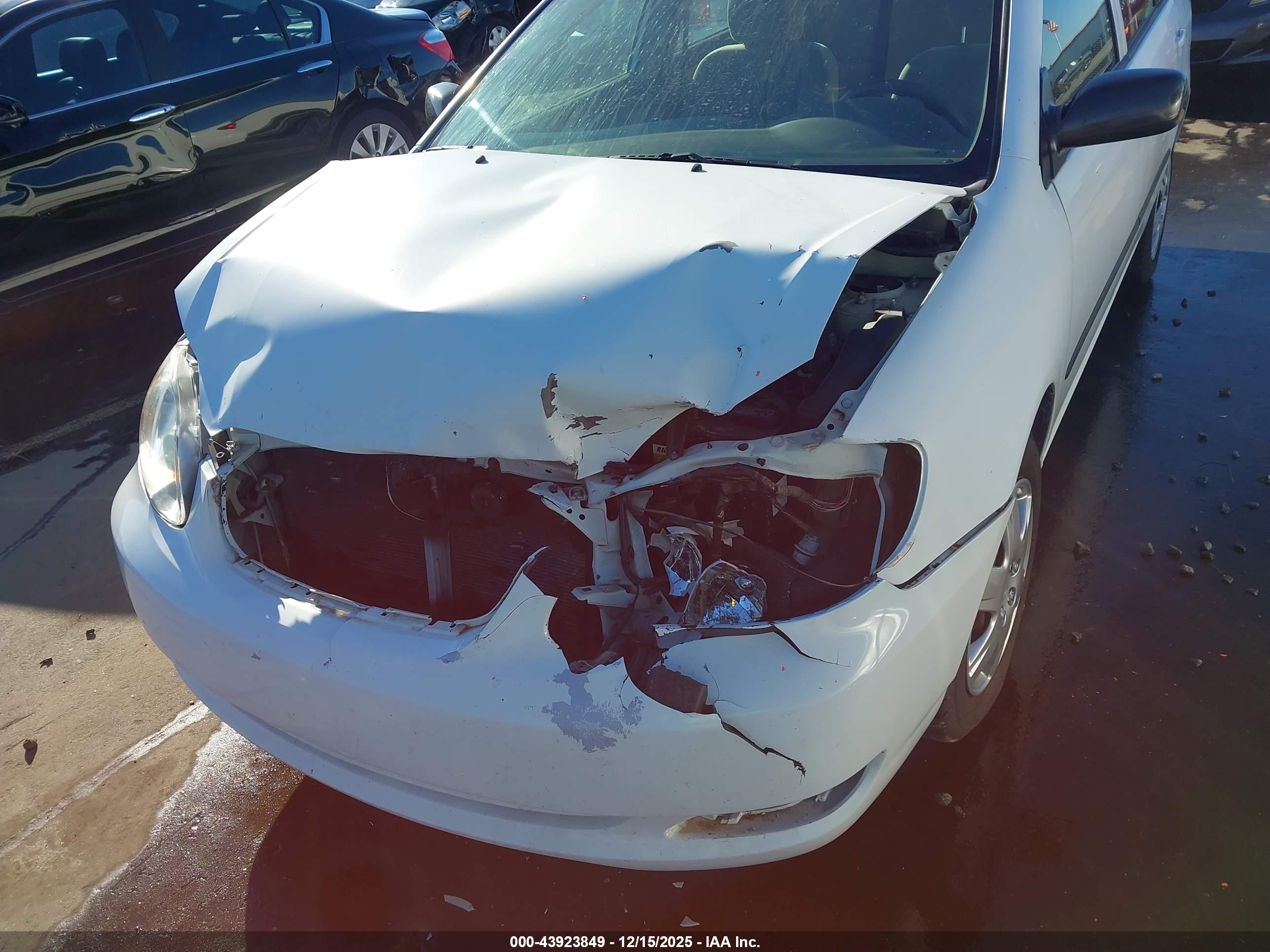 TOYOTA COROLLA image 6