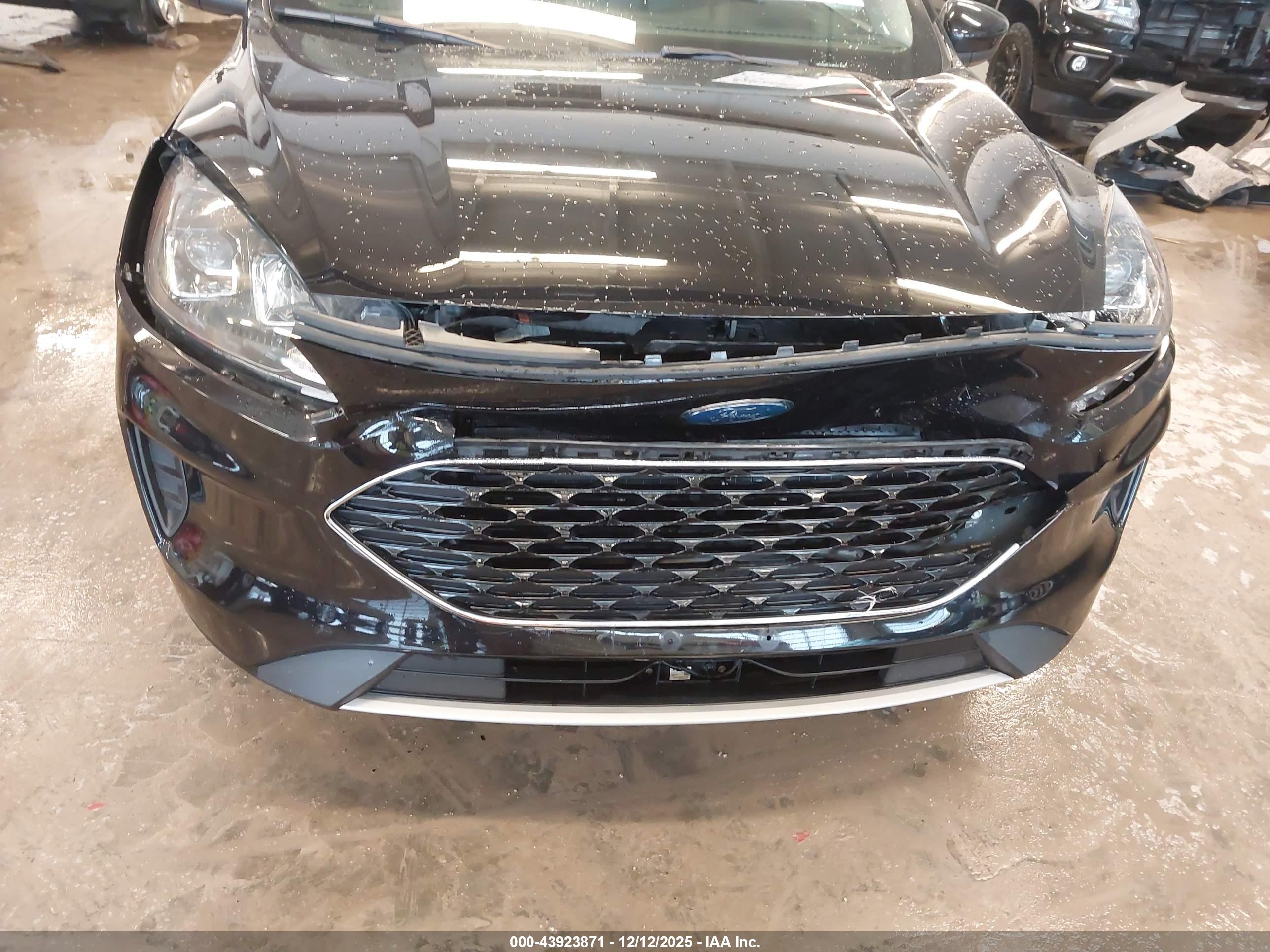 FORD ESCAPE image 6