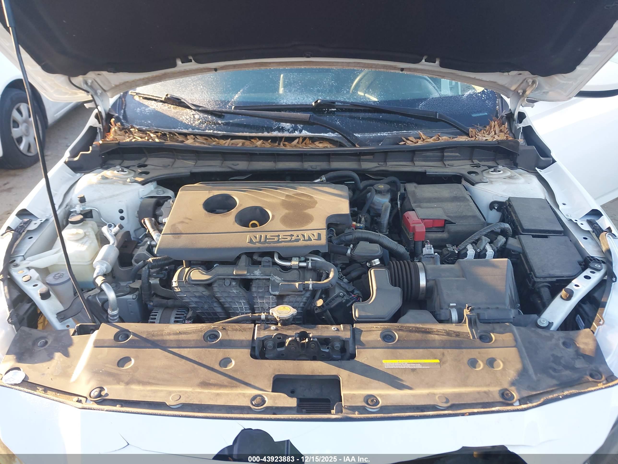 NISSAN ALTIMA image 10