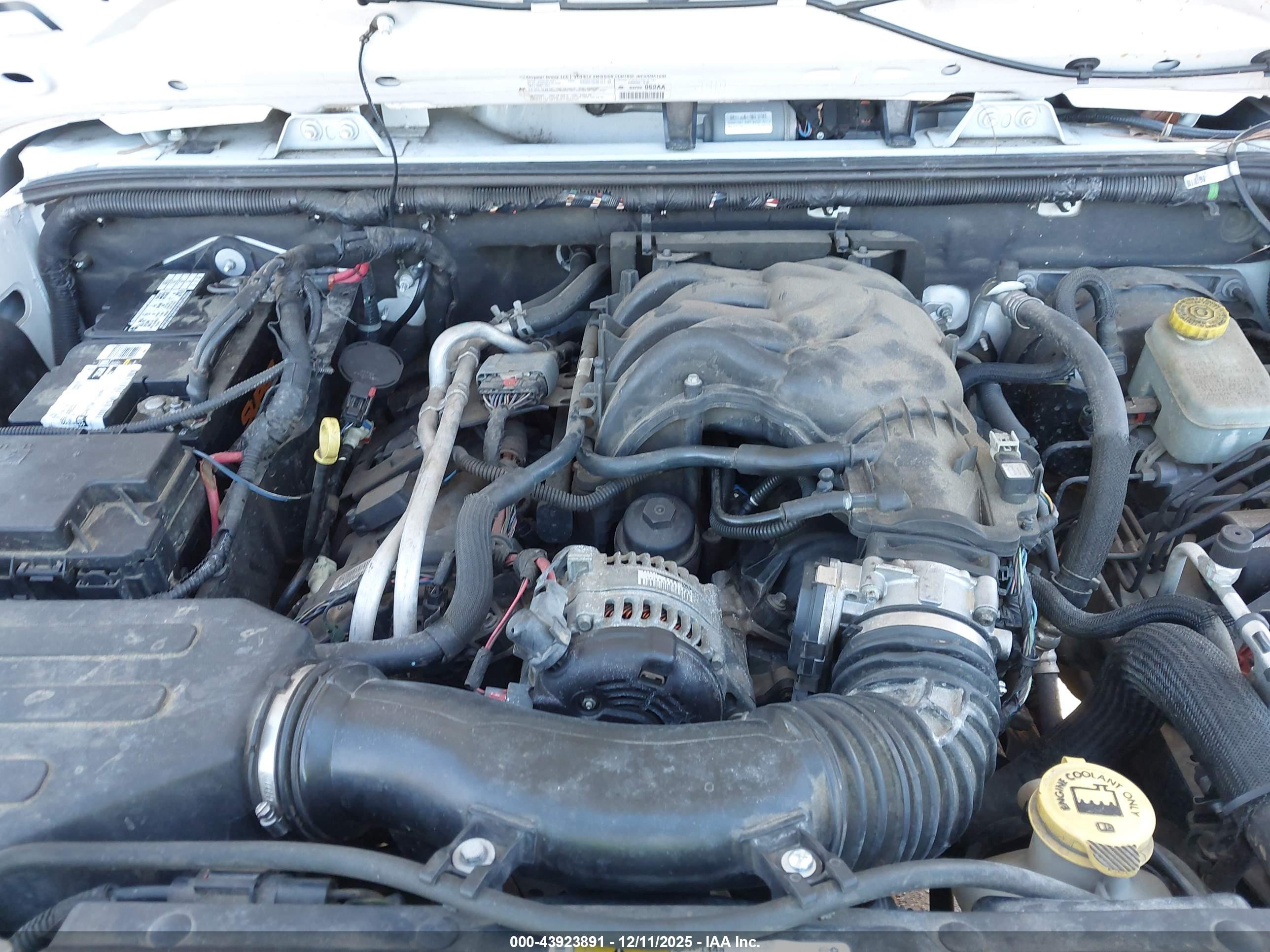 JEEP WRANGLER image 10