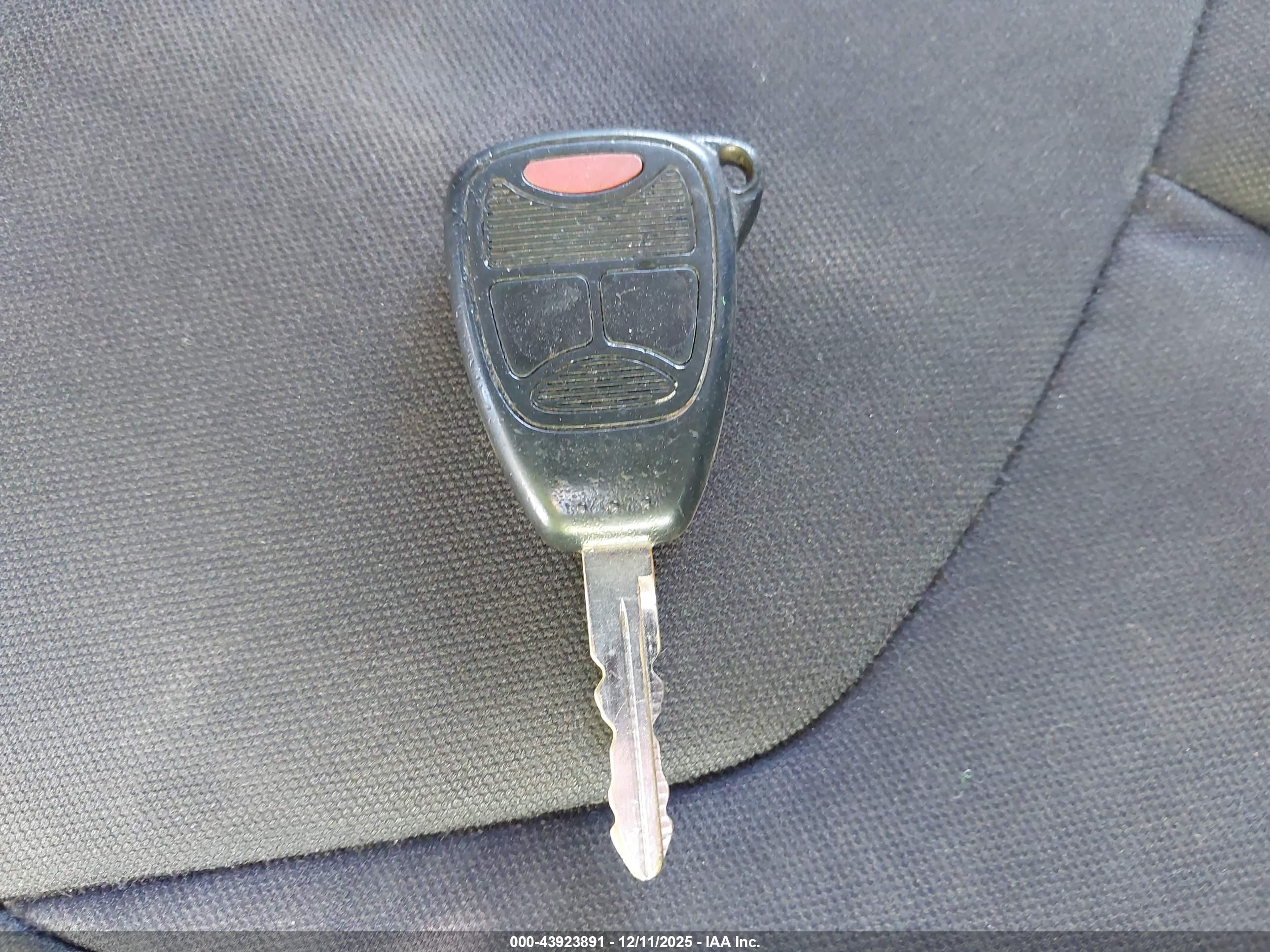 JEEP WRANGLER image 11