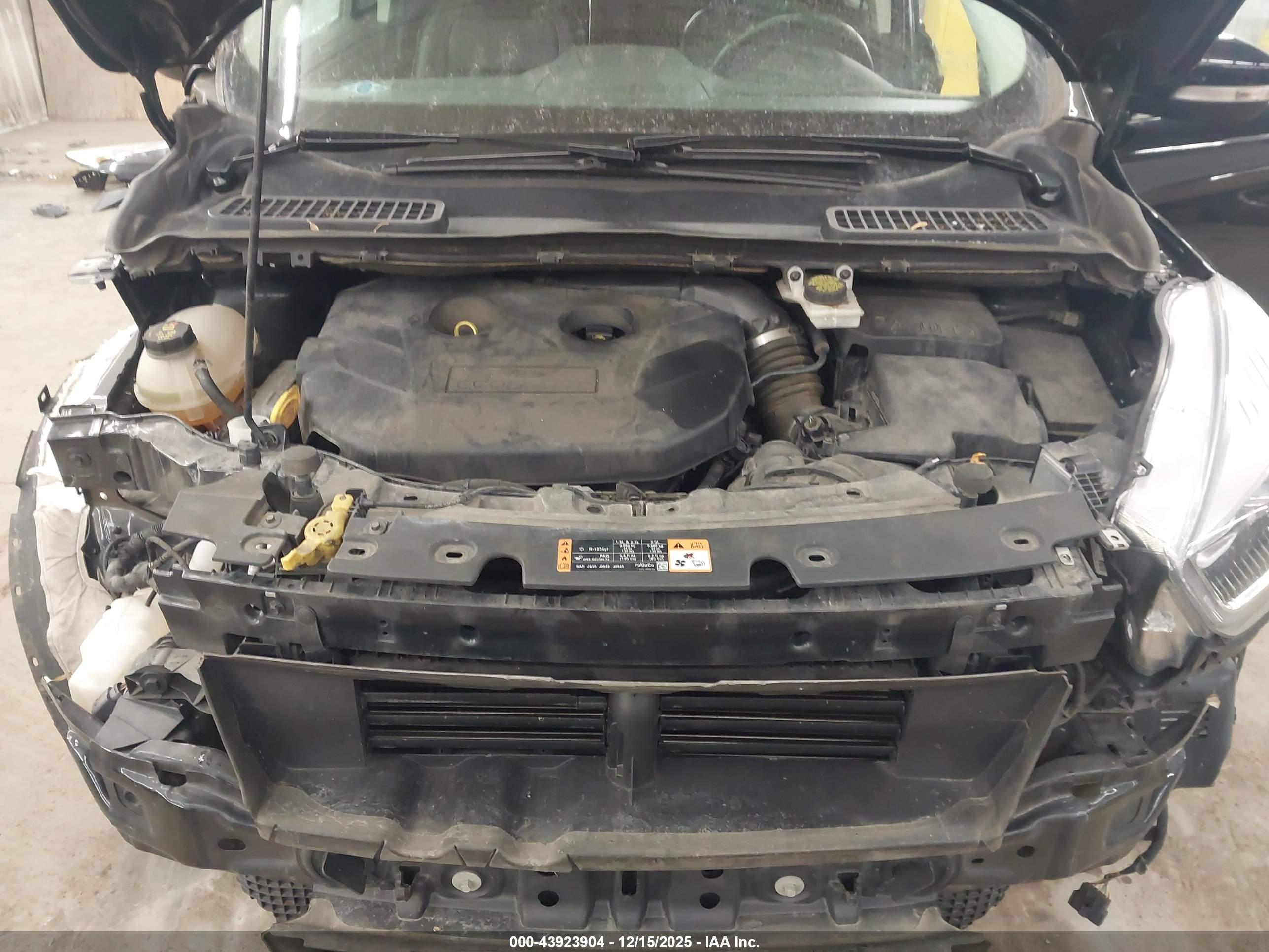 FORD ESCAPE image 10