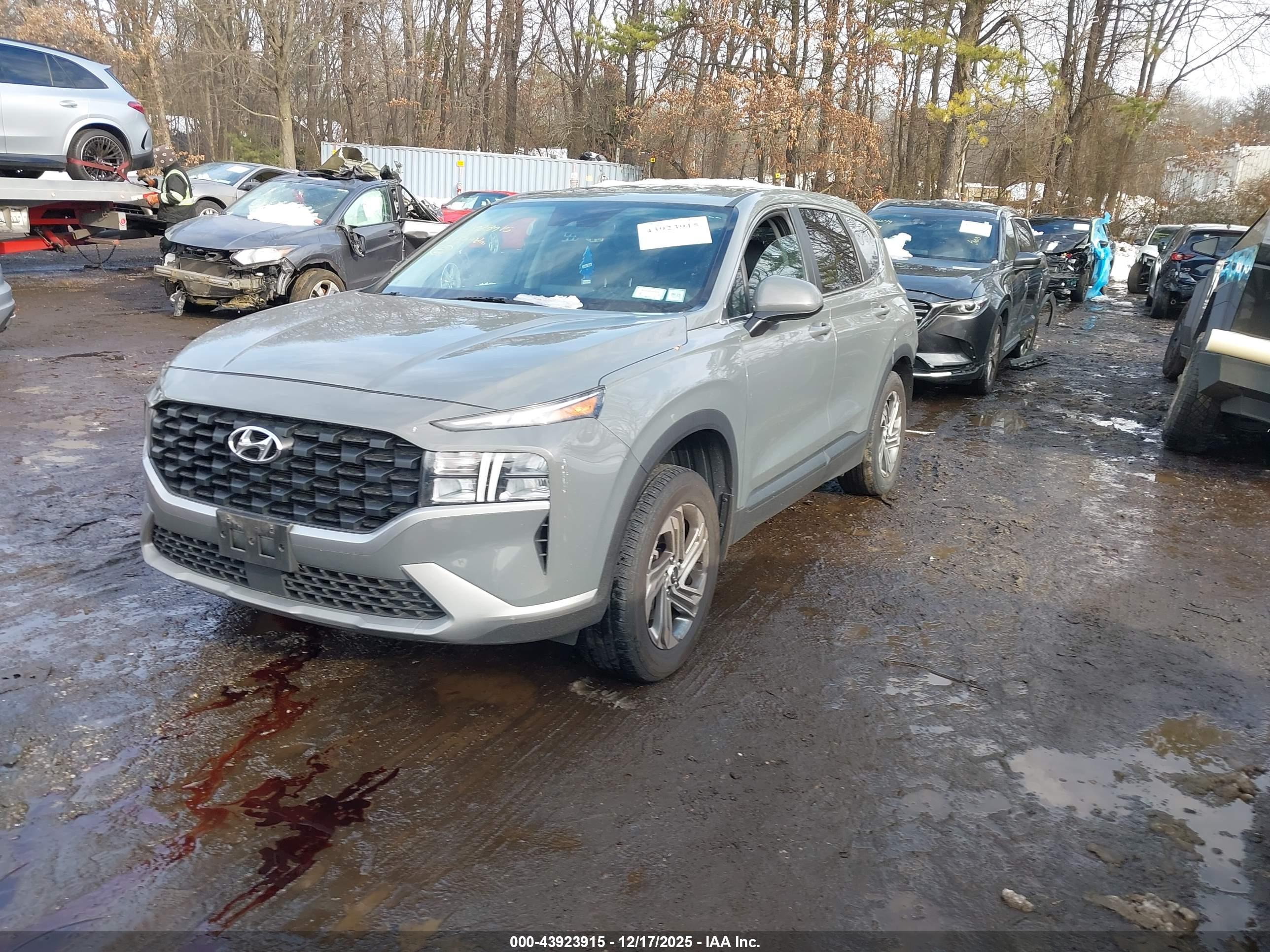 HYUNDAI SANTA image 2