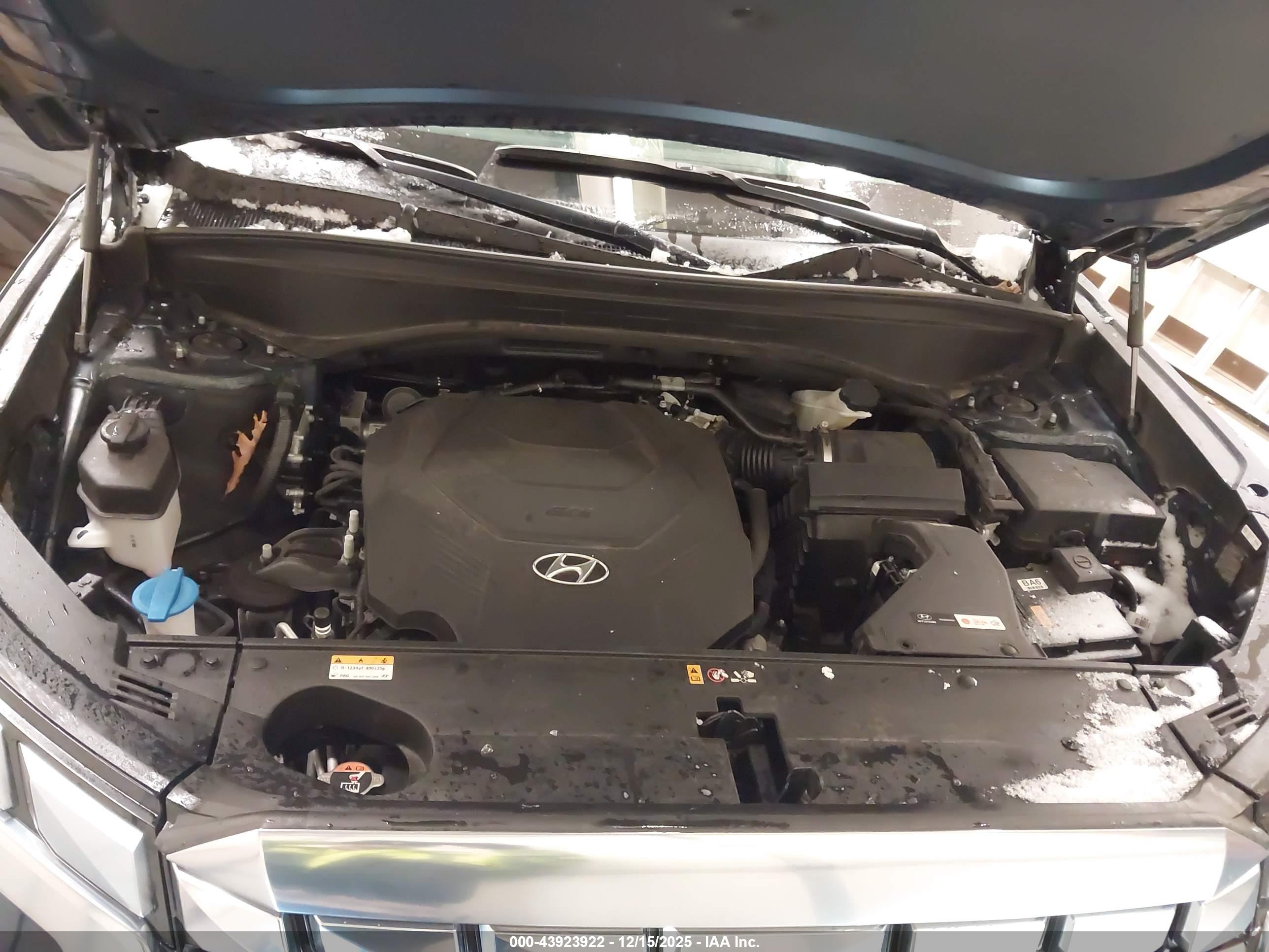 HYUNDAI PALISADE image 10