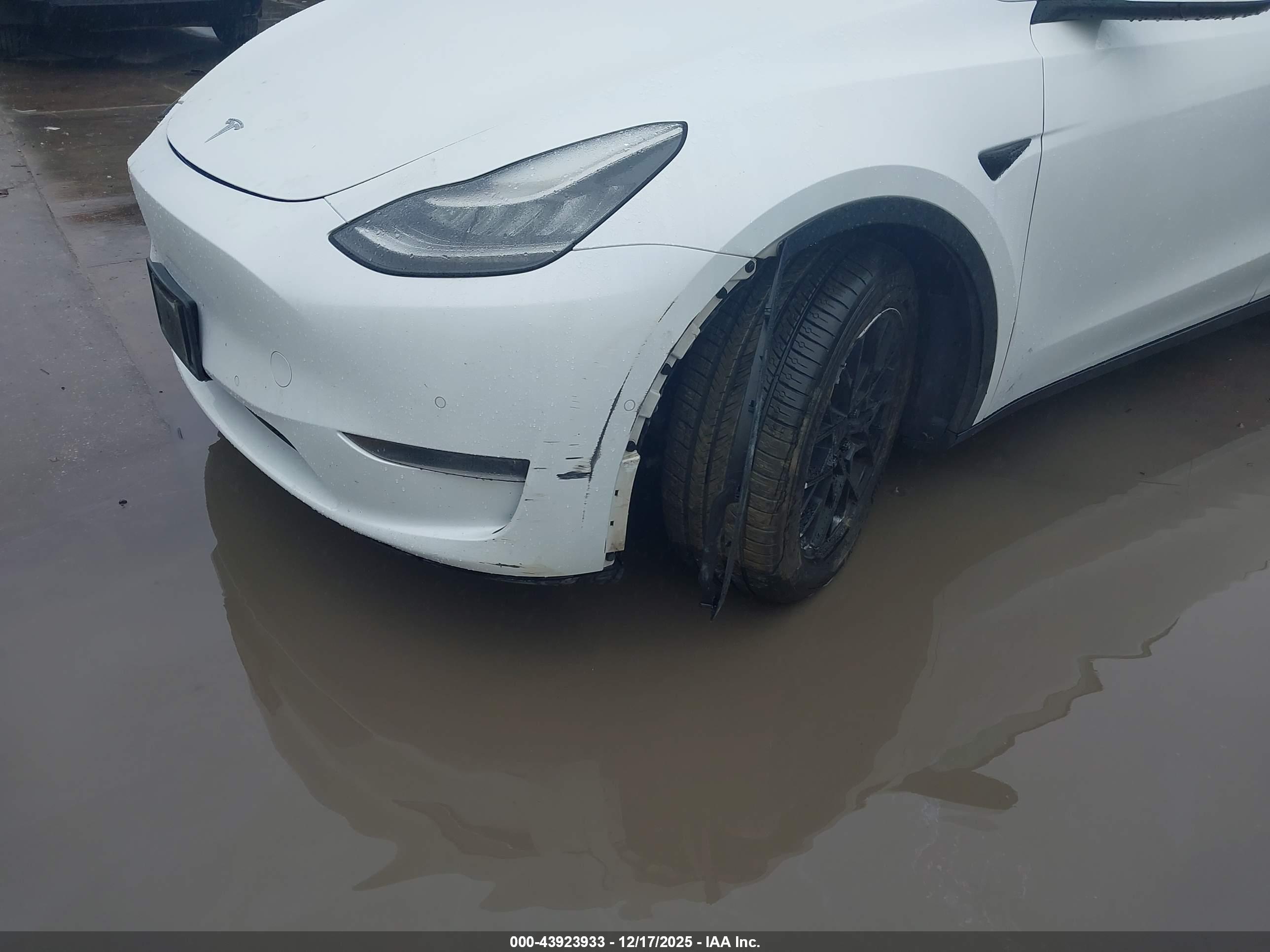 TESLA MODEL image 6