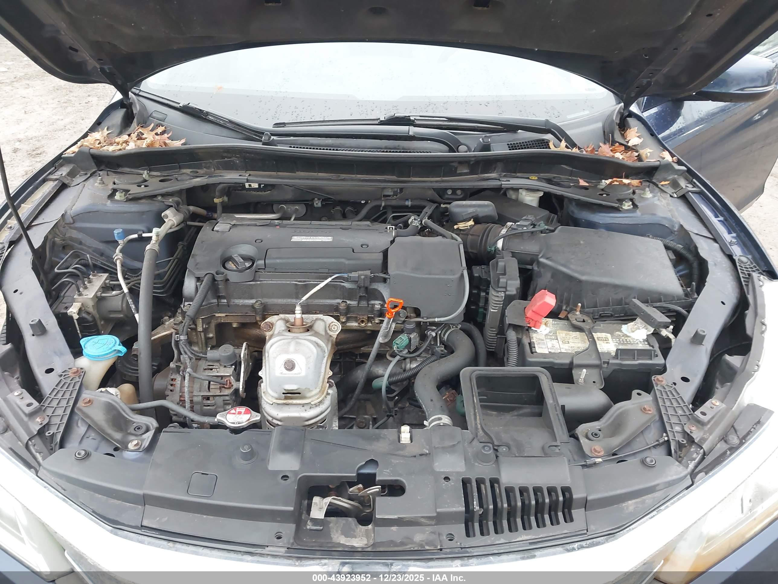 HONDA ACCORD image 10