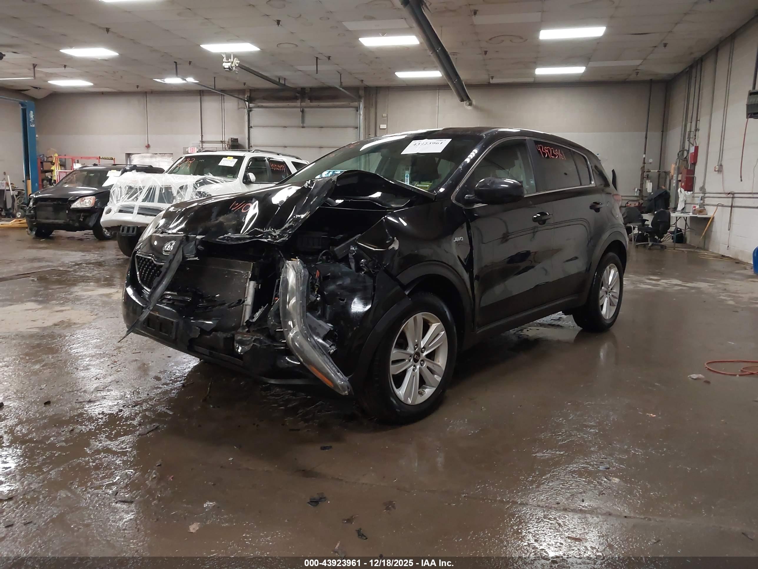 KIA SPORTAGE image 2