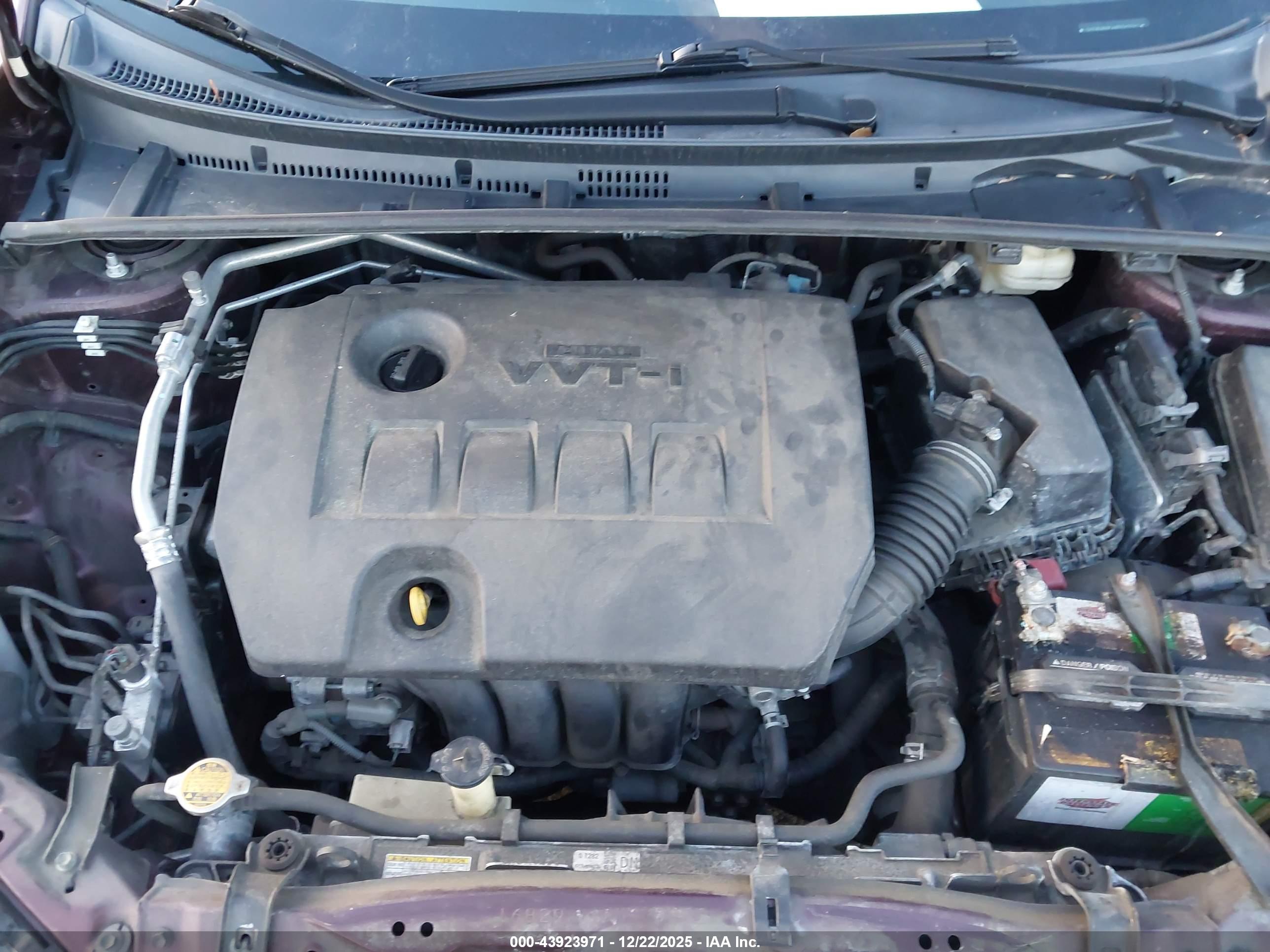 TOYOTA COROLLA image 10