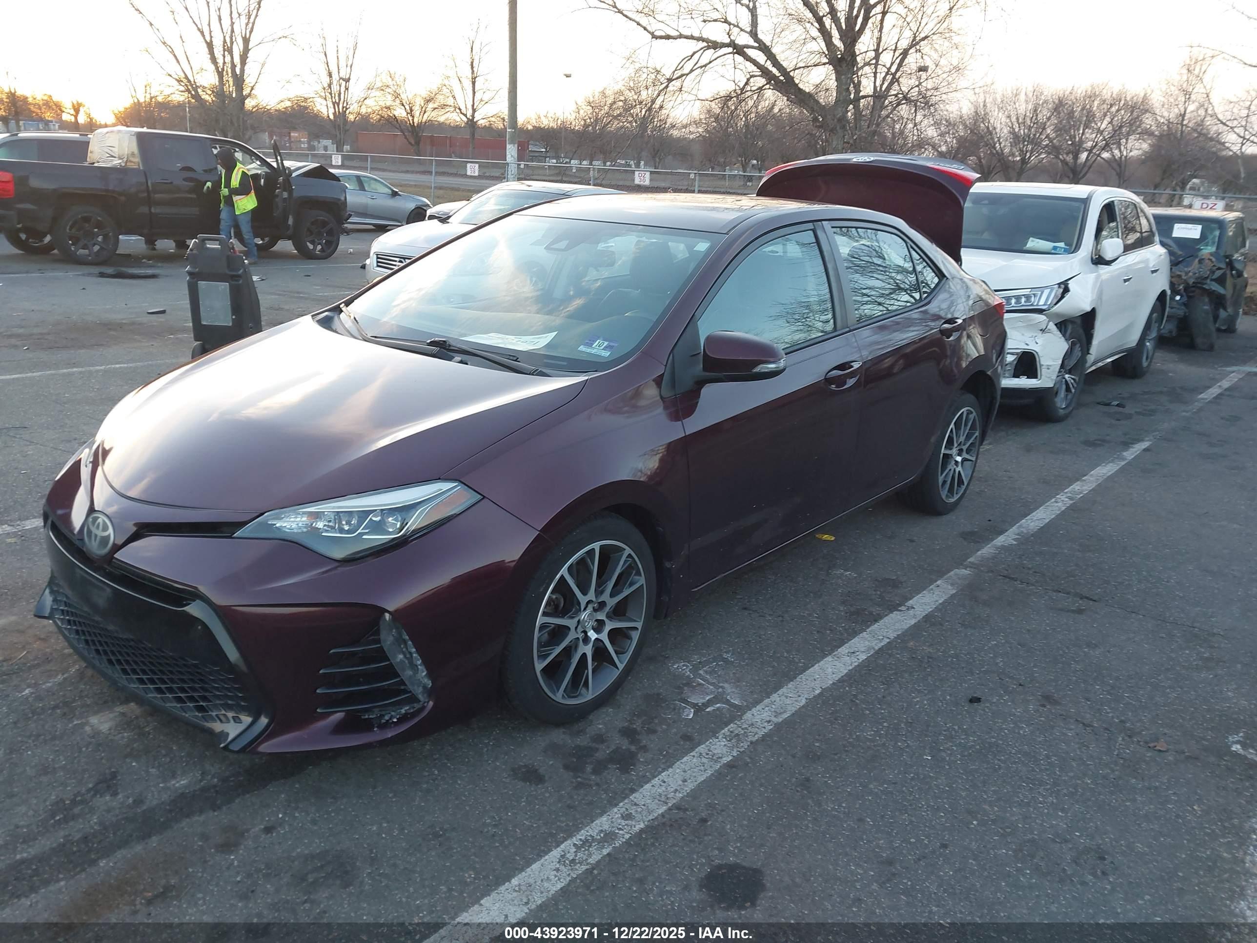 TOYOTA COROLLA image 2