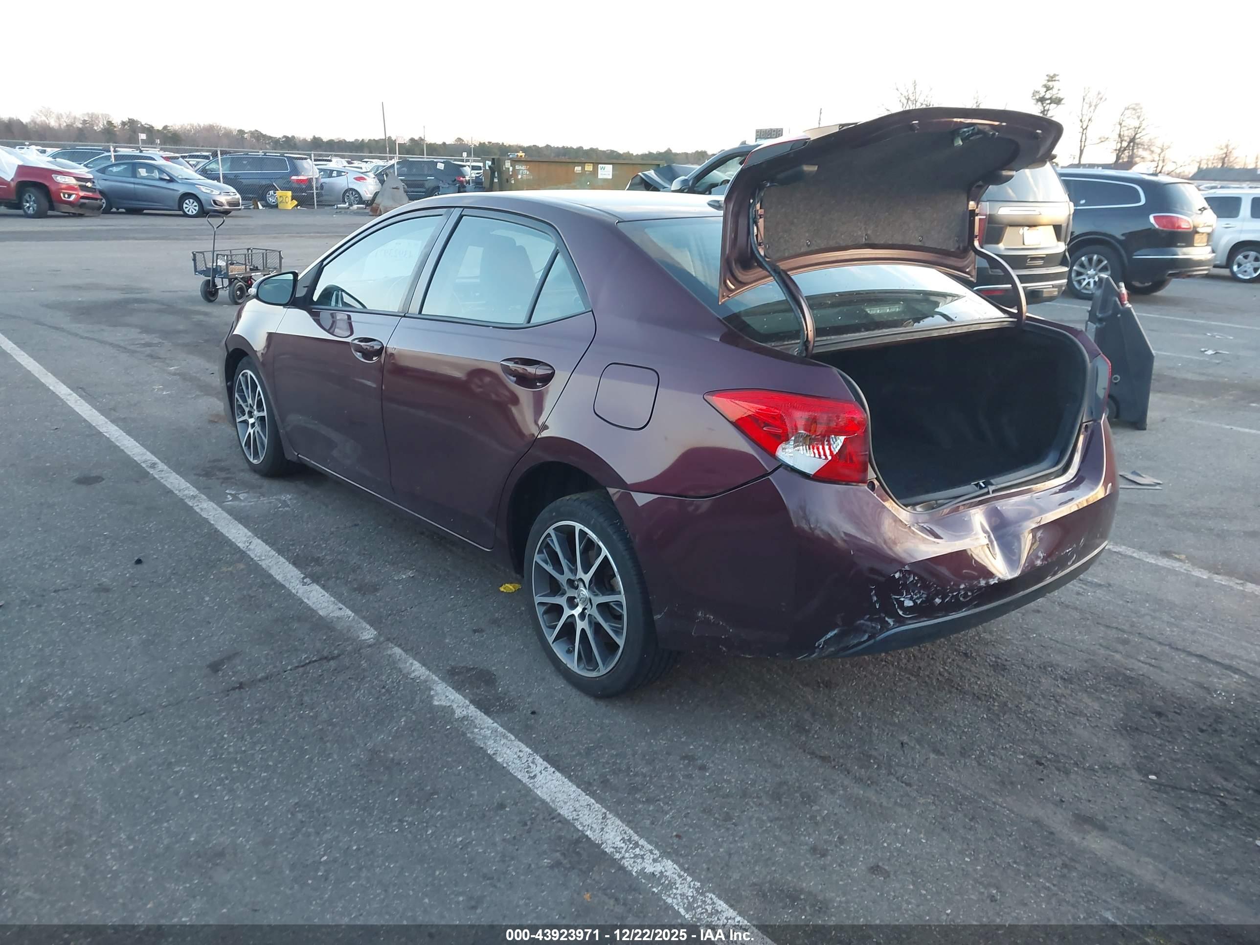 TOYOTA COROLLA image 3