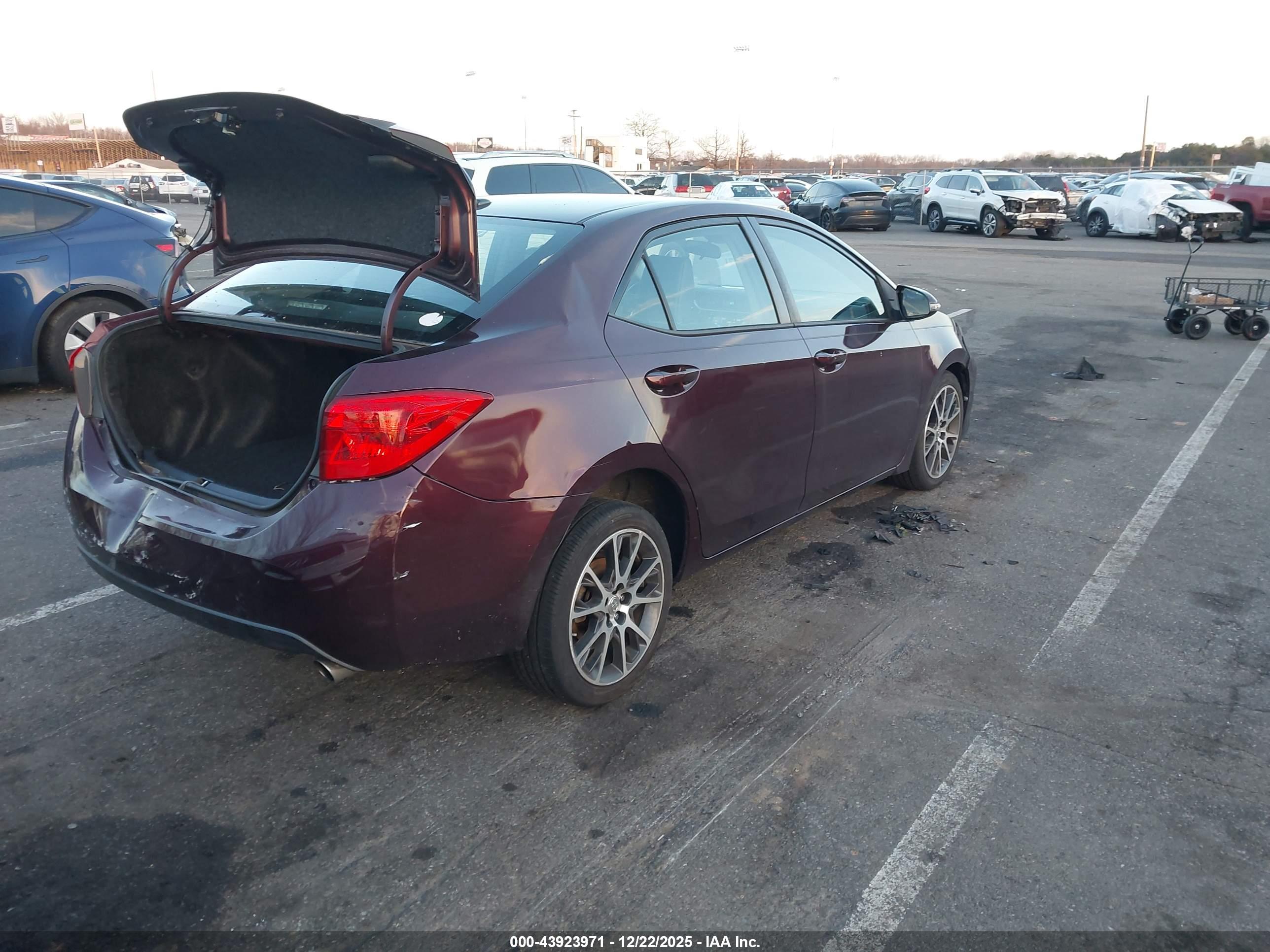 TOYOTA COROLLA image 4
