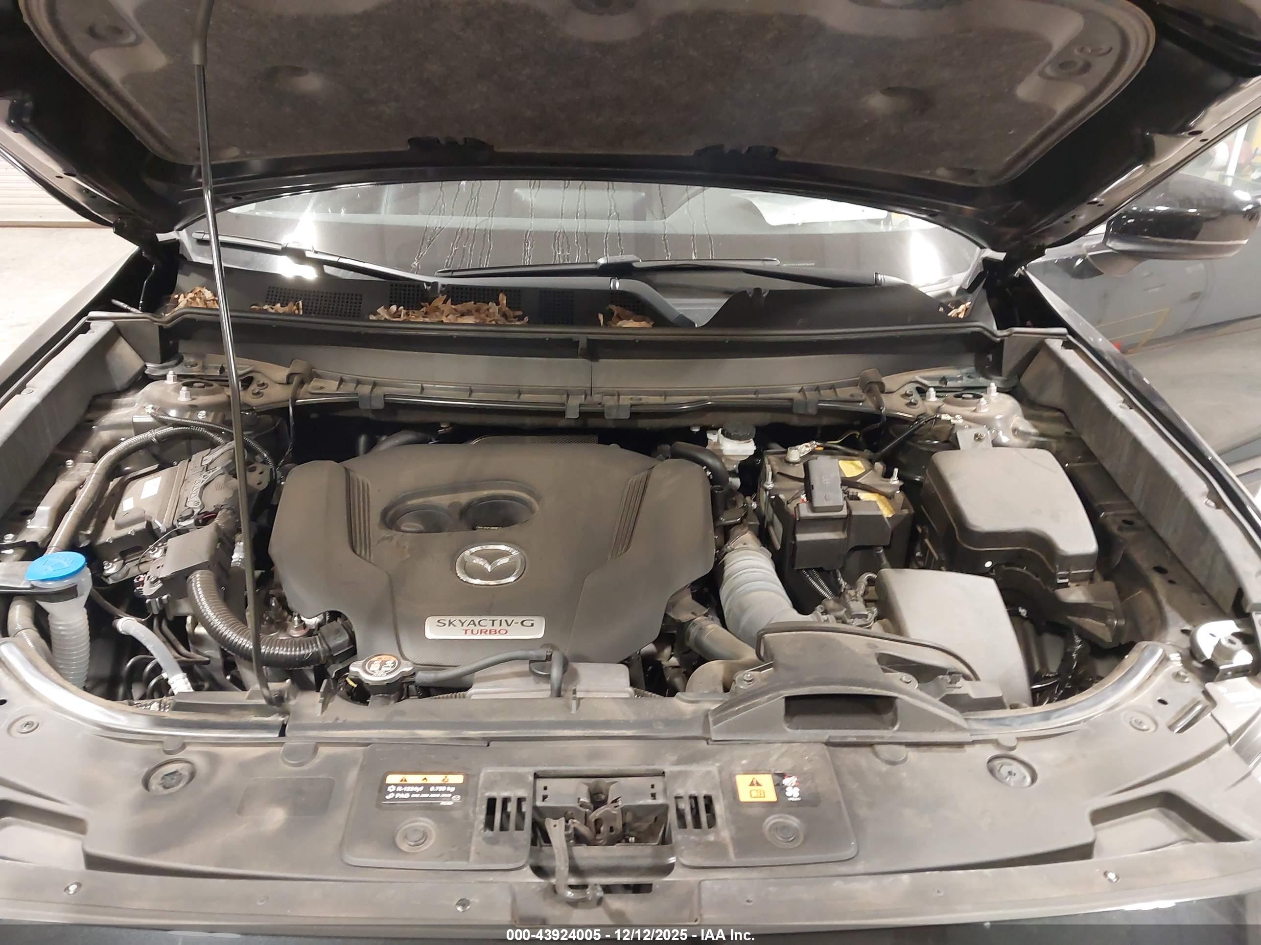 MAZDA CX-9 image 10
