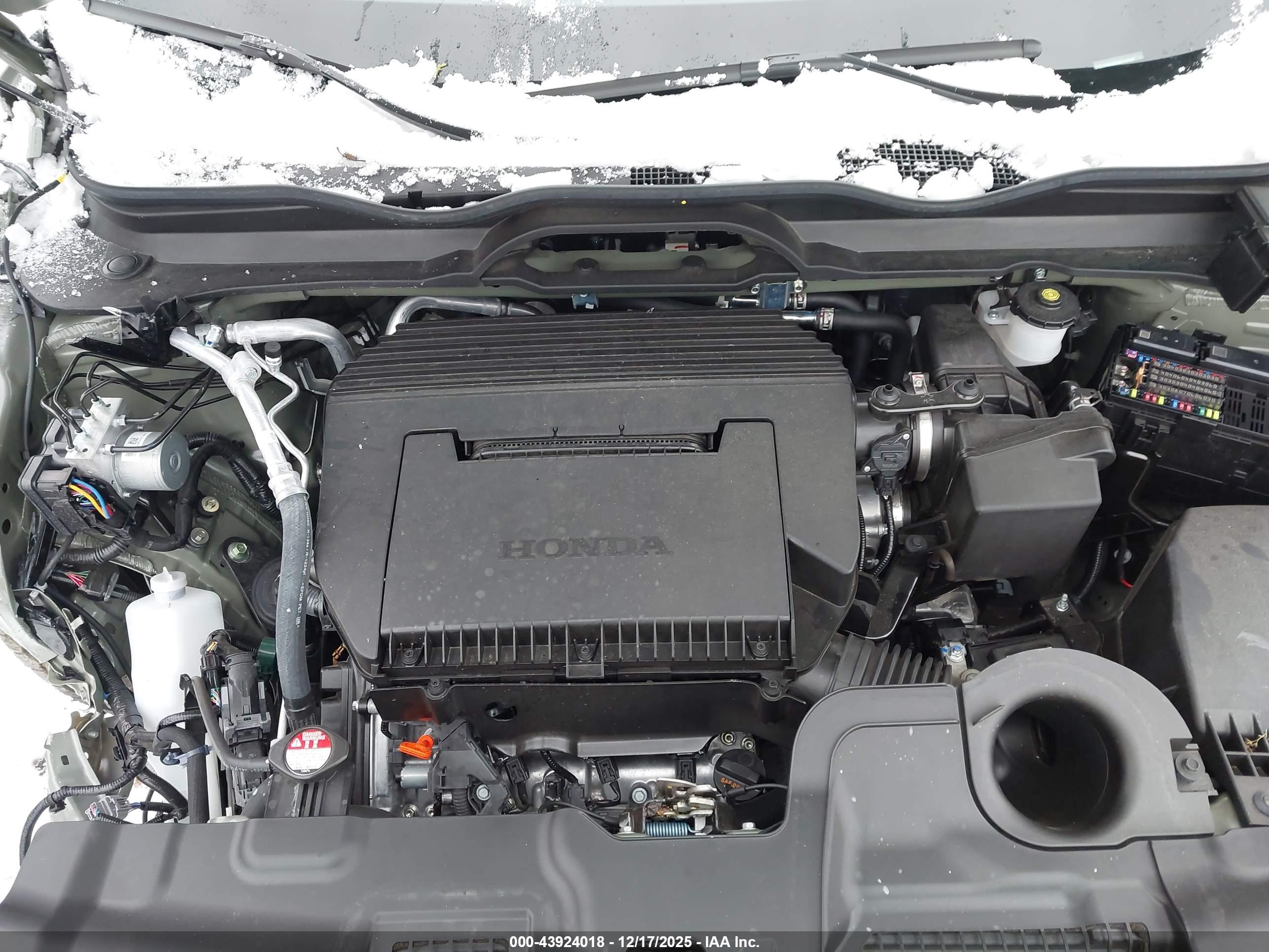 HONDA PASSPORT image 10