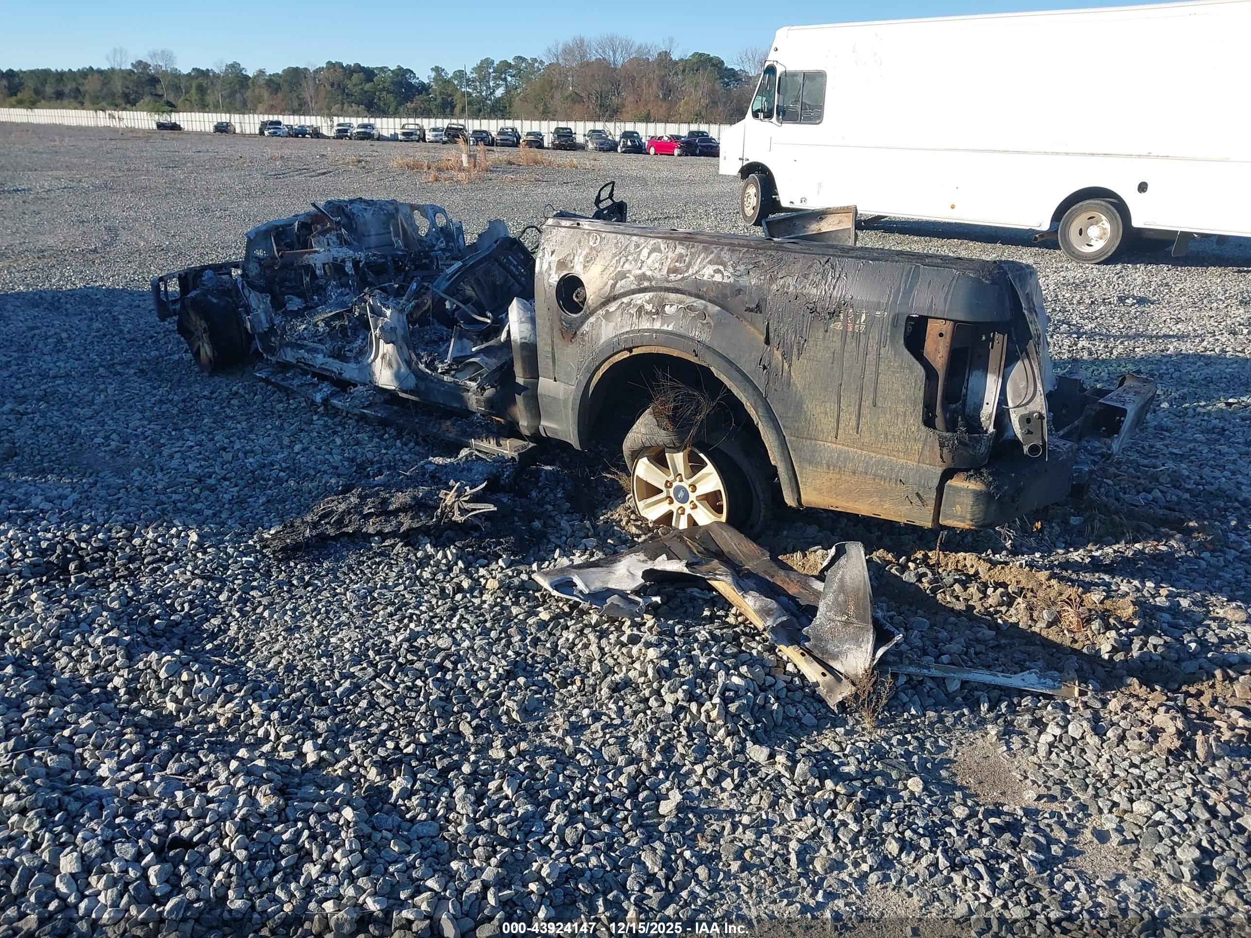 FORD F-150 image 3