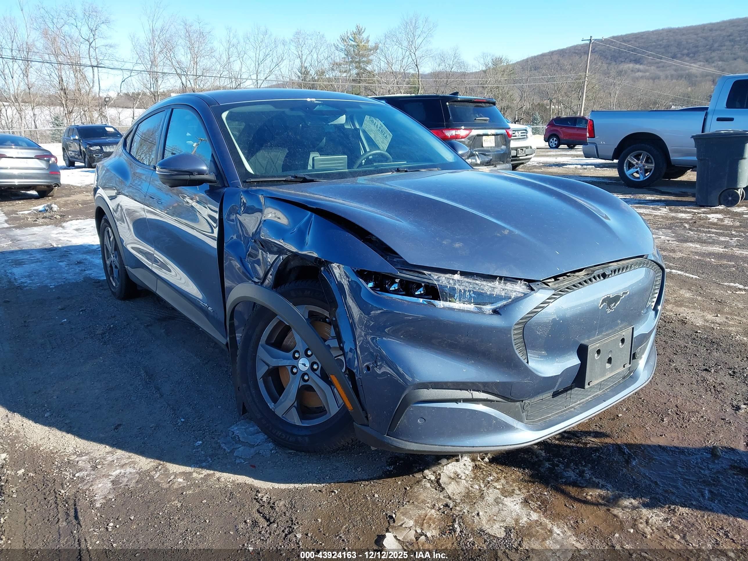 FORD MUSTANG image 6