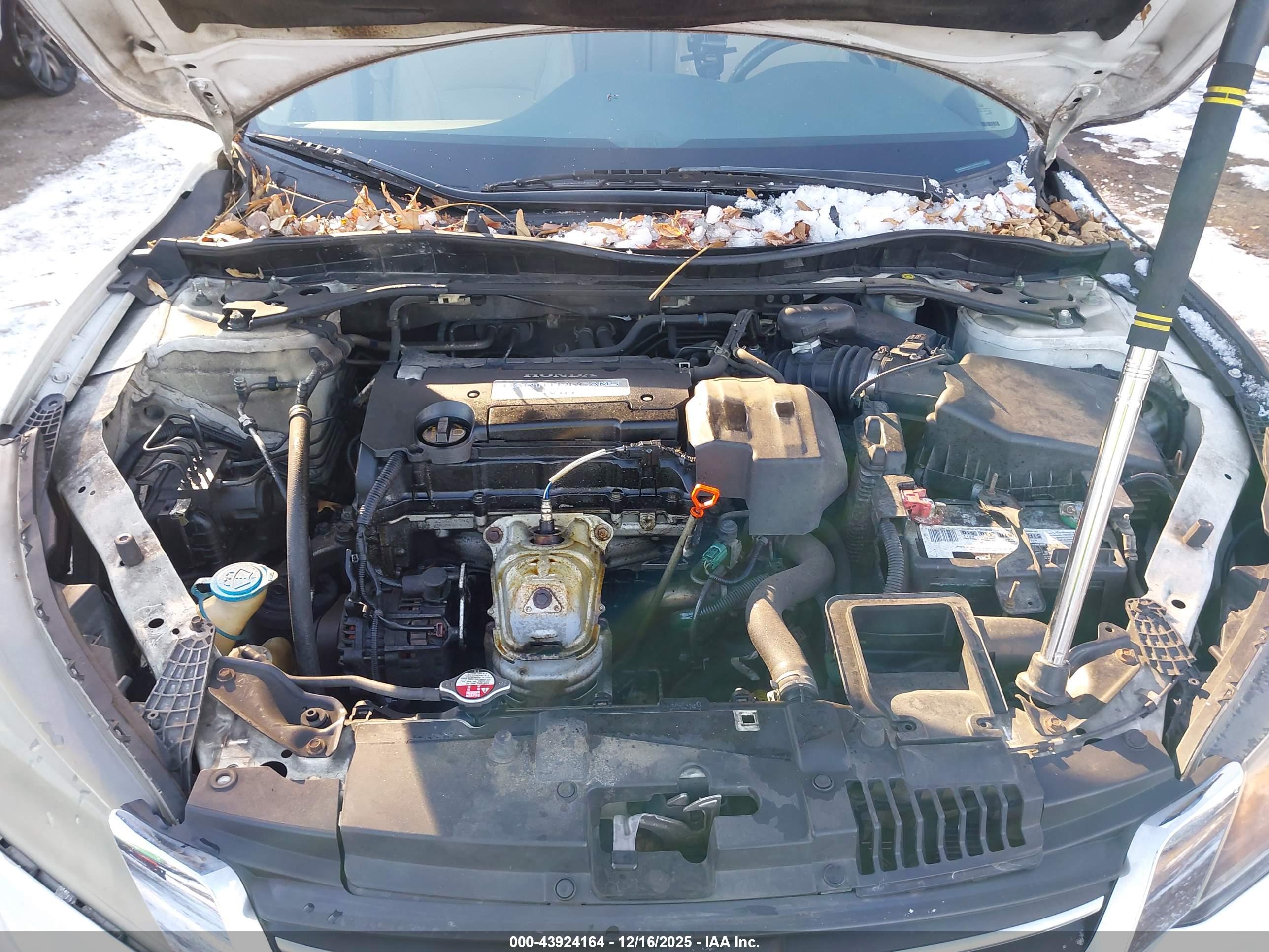 HONDA ACCORD image 10