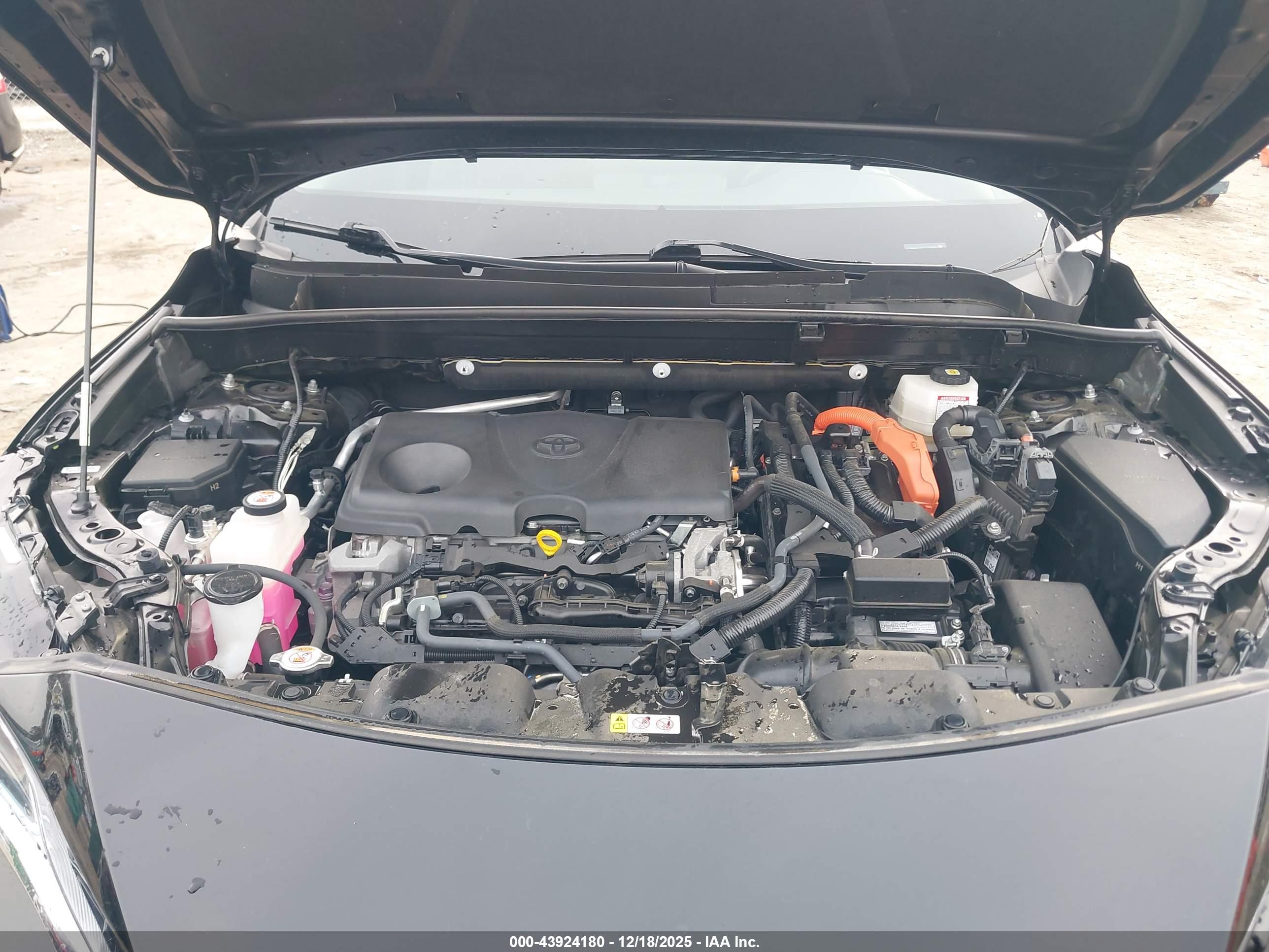 TOYOTA VENZA image 10